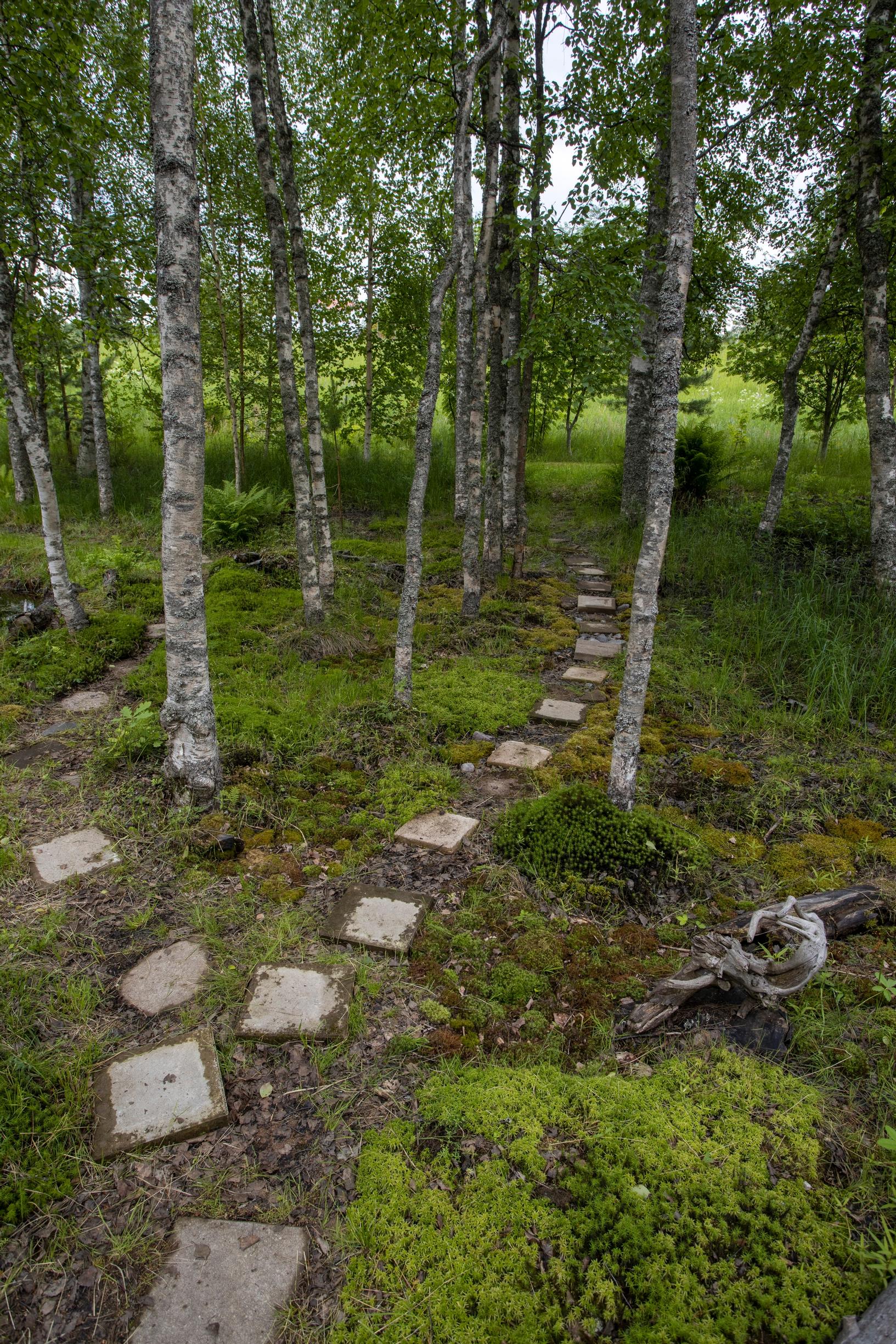 luonnonmukainen puutarha