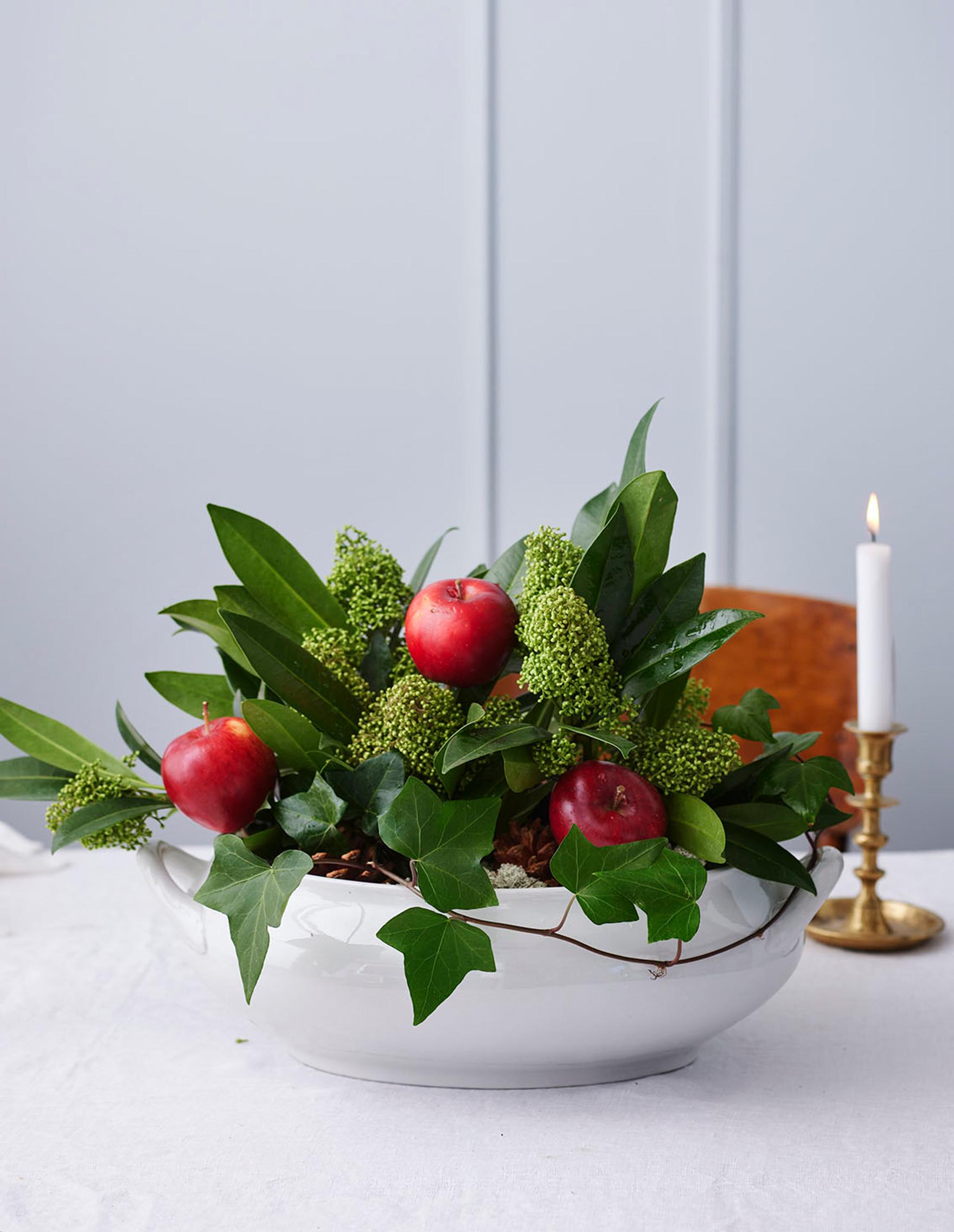 Skimmia, omenat ja muratti vanhassa liemimaljassa.