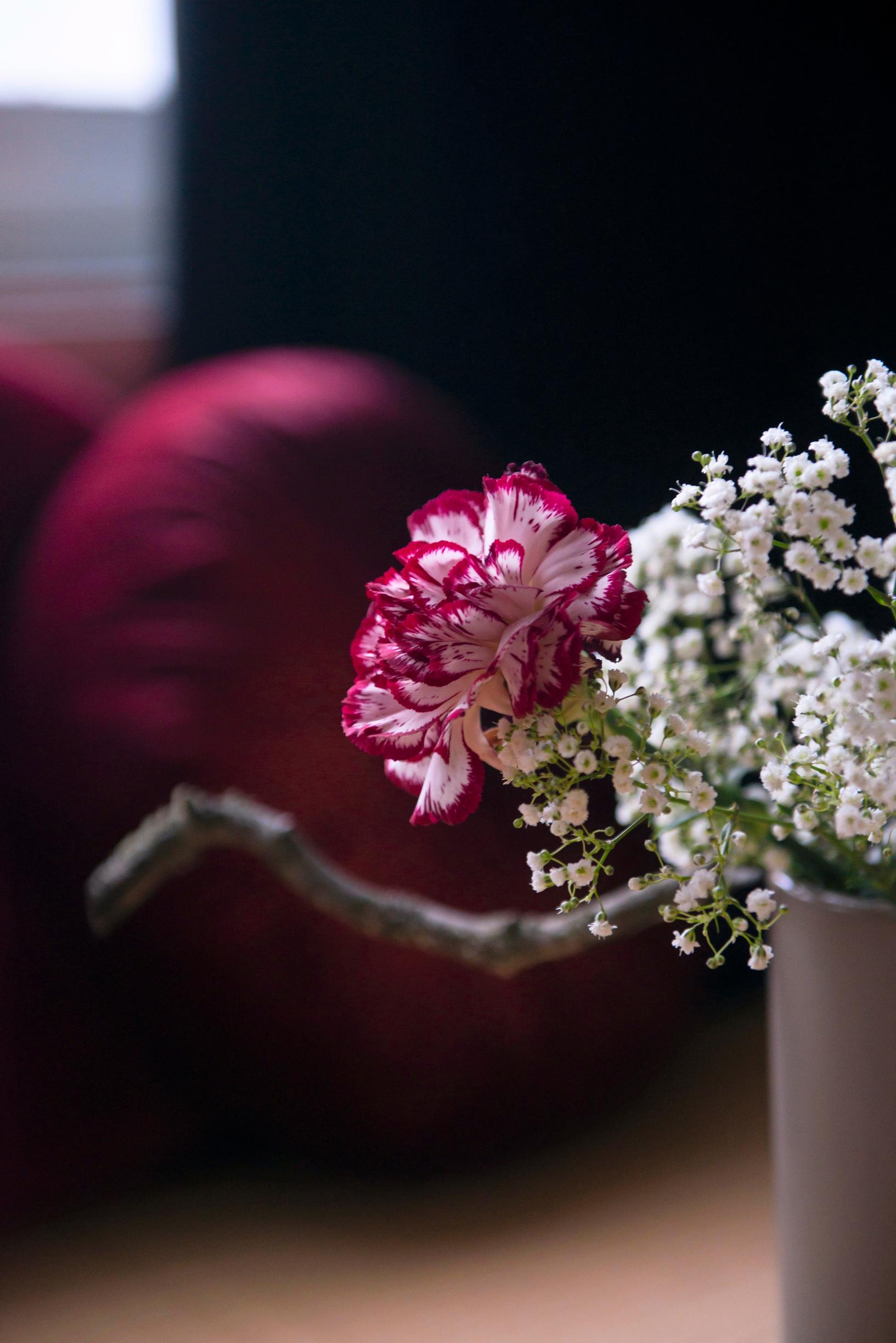 Ikebana-asetelma, jossa on neilikka ja harsokukkia