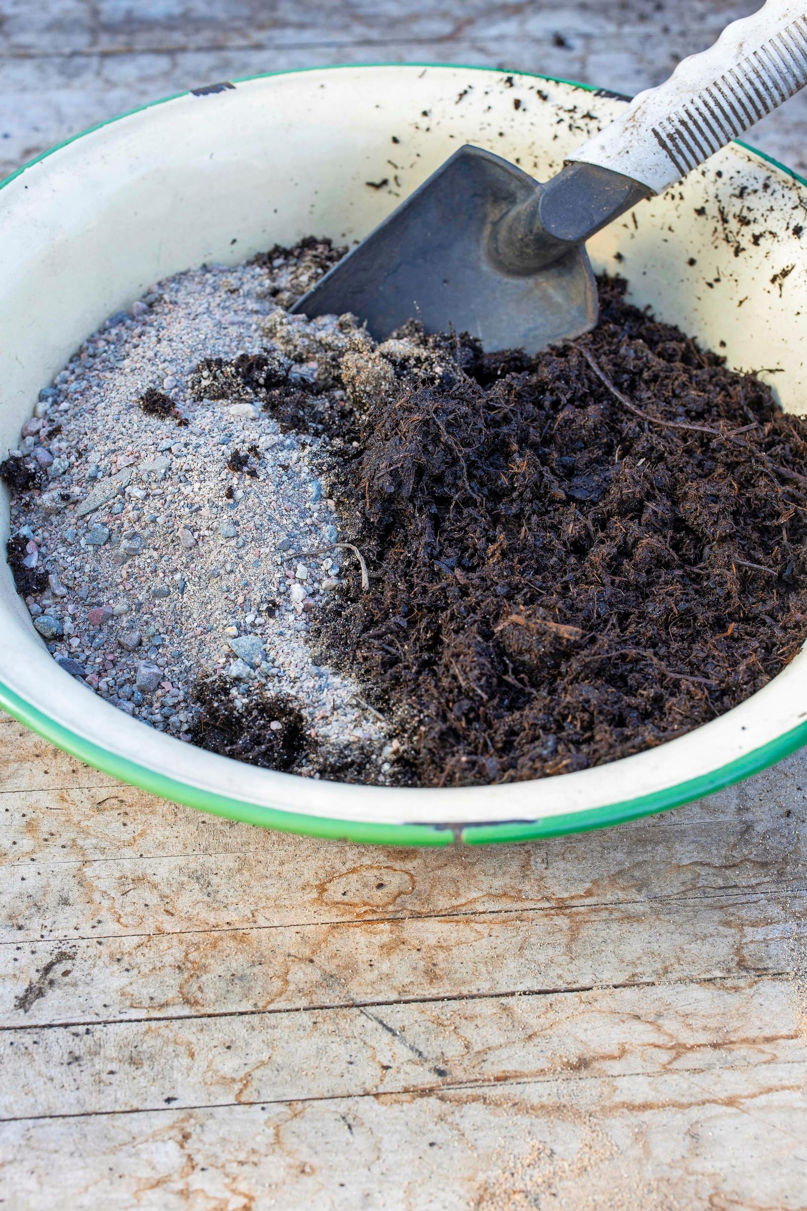 Perennojen kylvö syksyllä