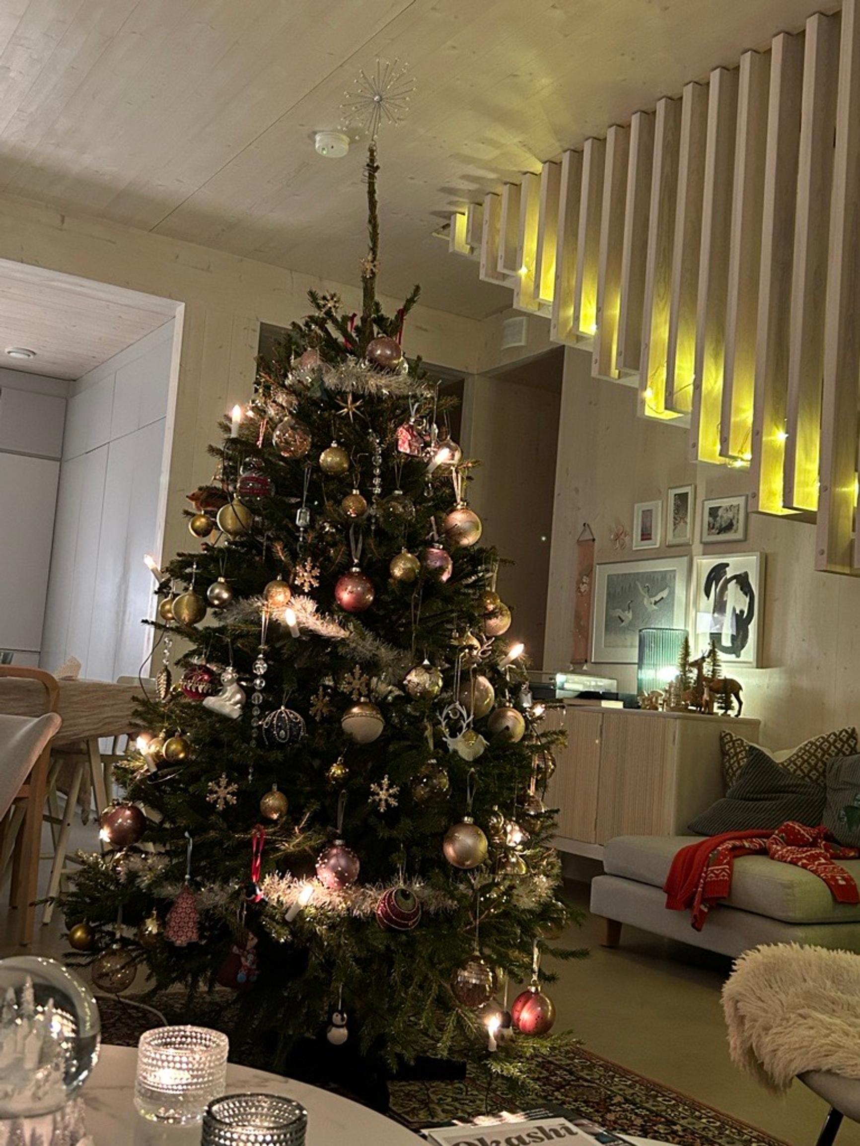 Runsaasti koristeltu joulukuusi.