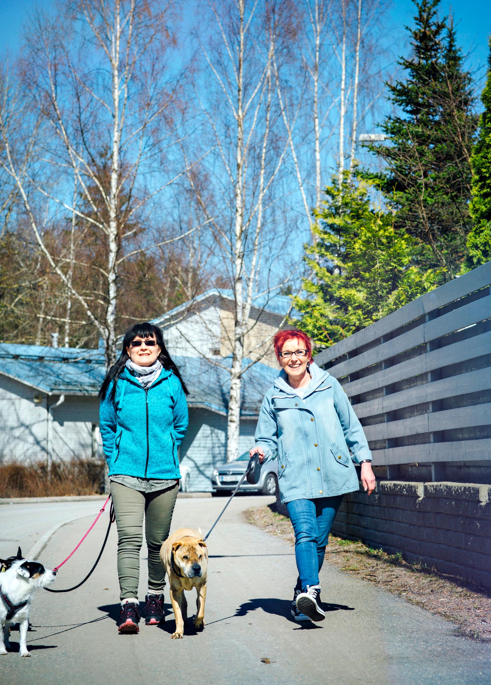 Ystävykset muuttivat kuusikymppisinä kimppakämppään – riitaa on tullut kotitöistä, mutta yhteisistä koiralenkeistä ei tingitä