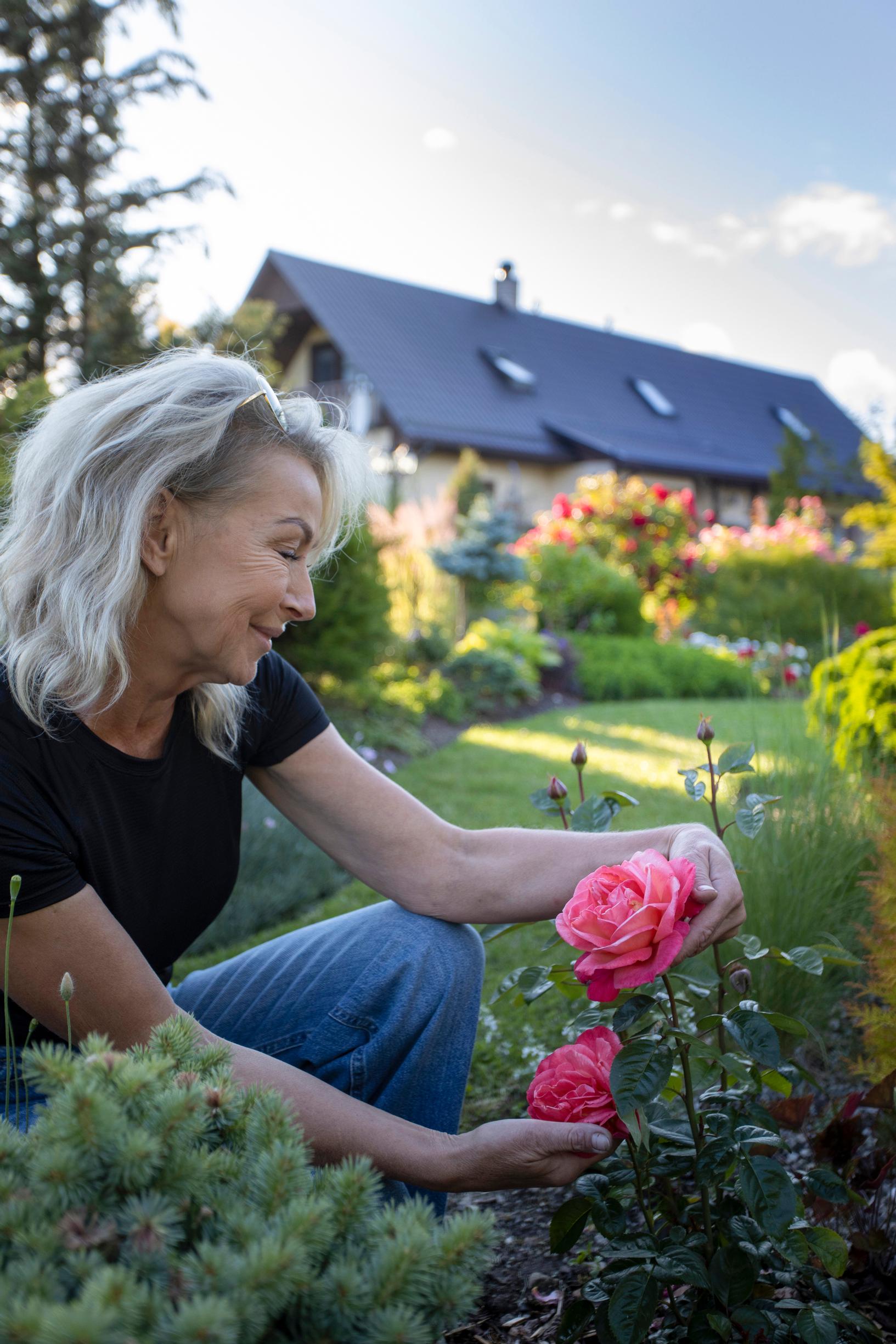 Jelenella on käsissään ruusu ’Troika’.