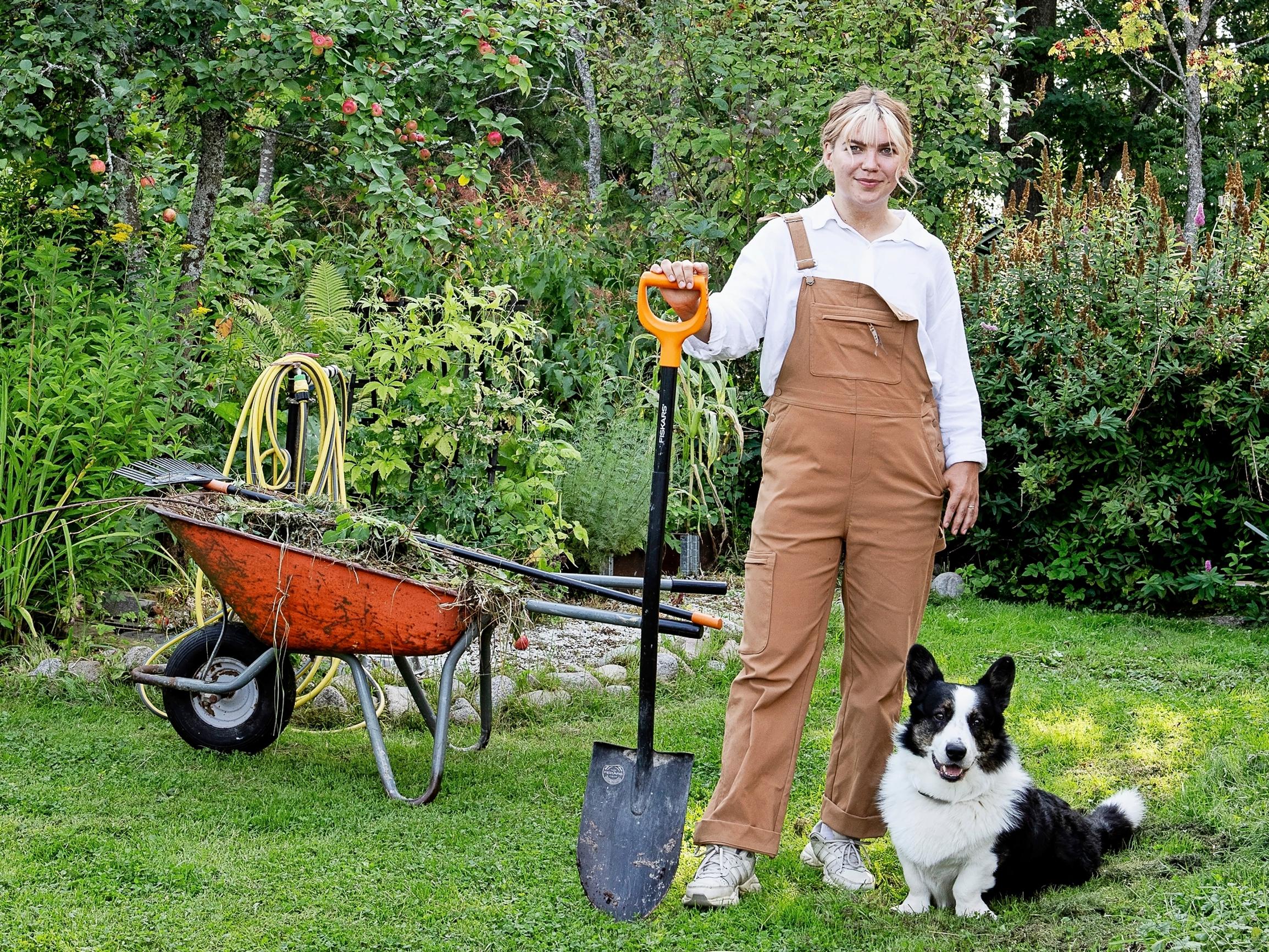 ”Olen ehkä Suomen nuorin siirtolapuutarhuri” – Annika osti vain 20-vuotiaana pikkumökin, jonka pihan hän pelasti kurtturuusupöheikön alta