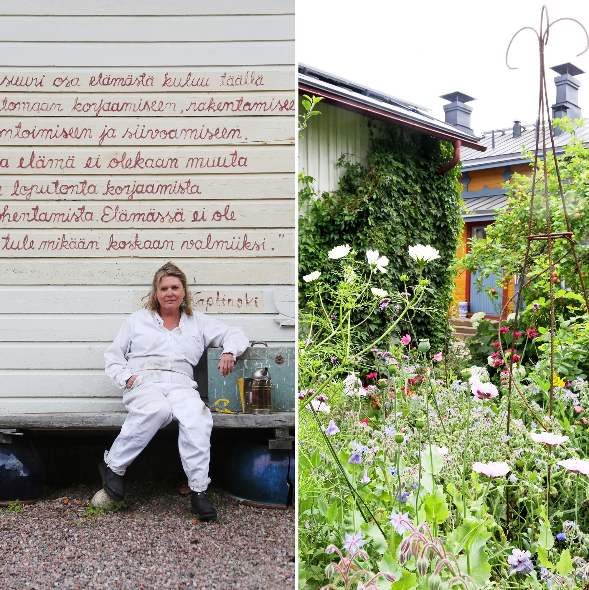 ”Mehiläispaviljonki”, luki vanhan talon myynti-ilmoituksessa – tönö pihan laidalla ja päättäväinen koputus oveen tekivät Siskosta mehiläistarhaajan