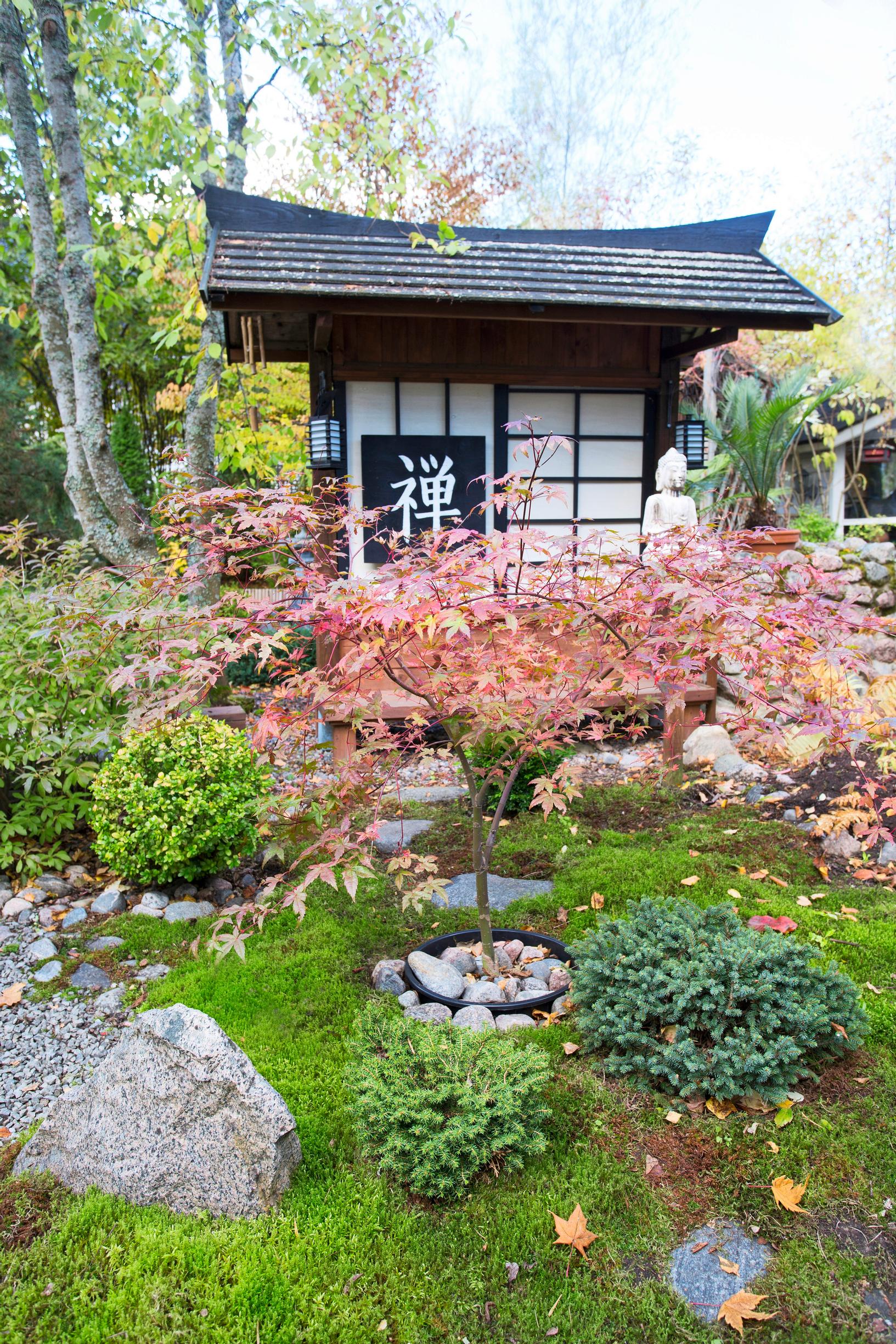 japanilainen puutarha