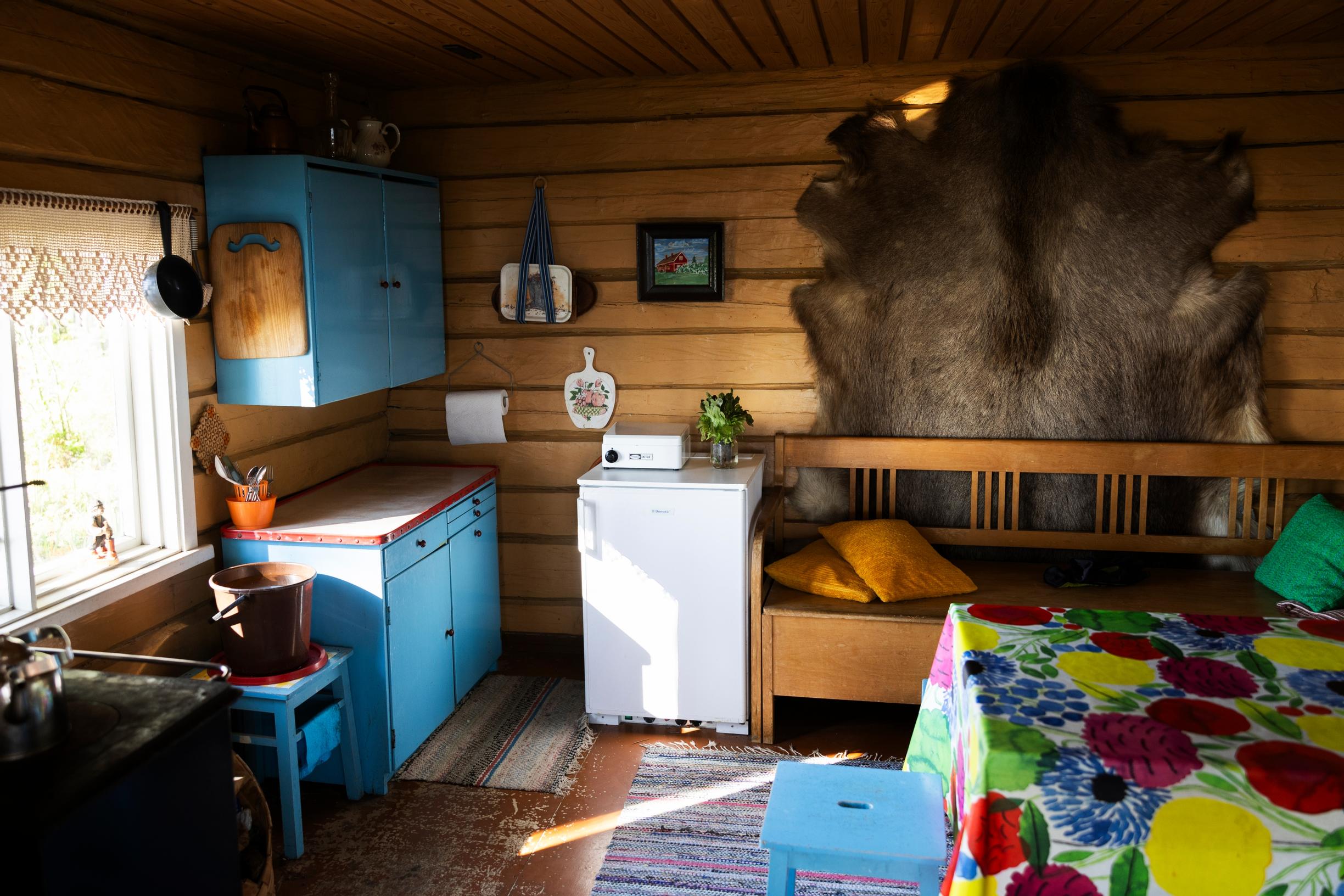 retrohenkinen mökin olohuone, kirjava pöytäliina, kaapit, sohva, jääkaappi ja hirventalja