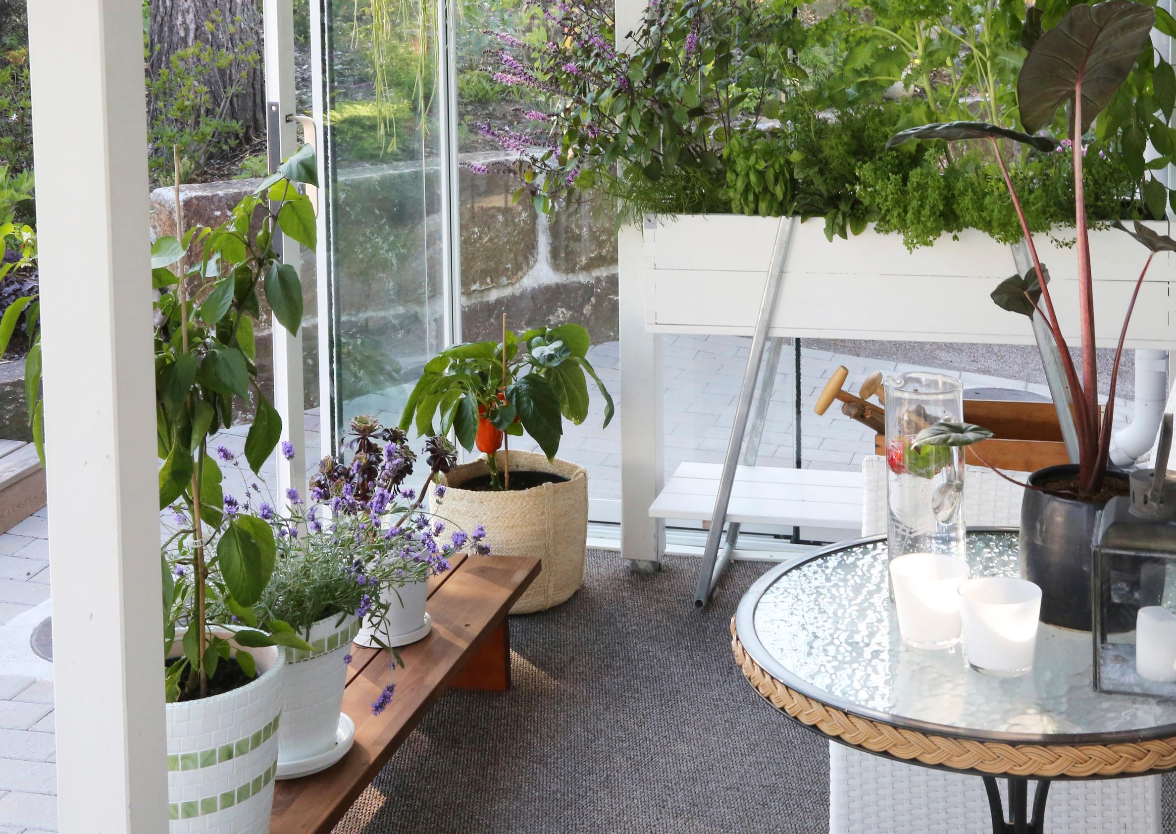 Ruukkukasveja ja Kekkilän viljelylaatikko