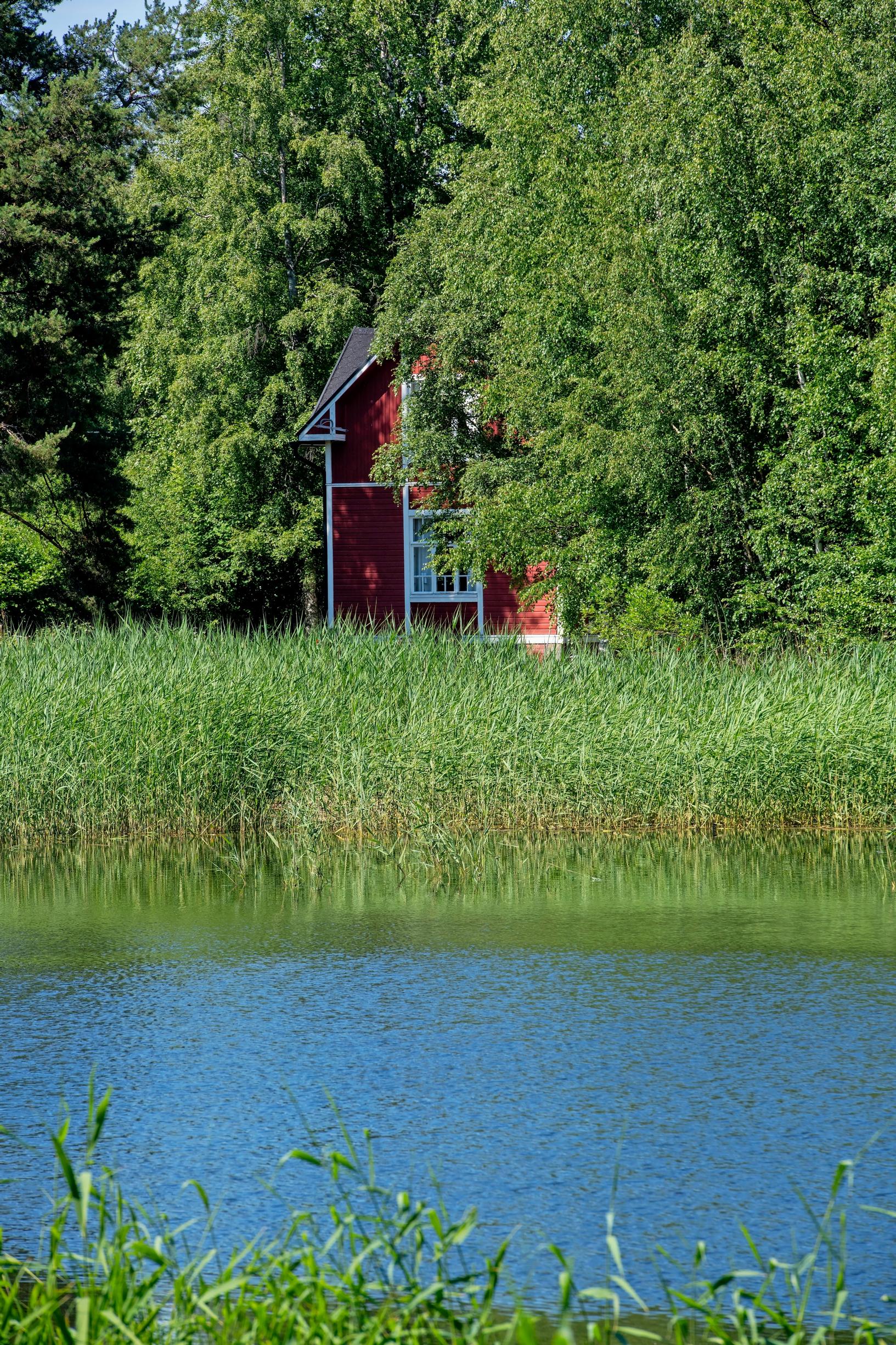 punavalkoinen huvila puiden takana, edessä kaislikkoa ja vettä