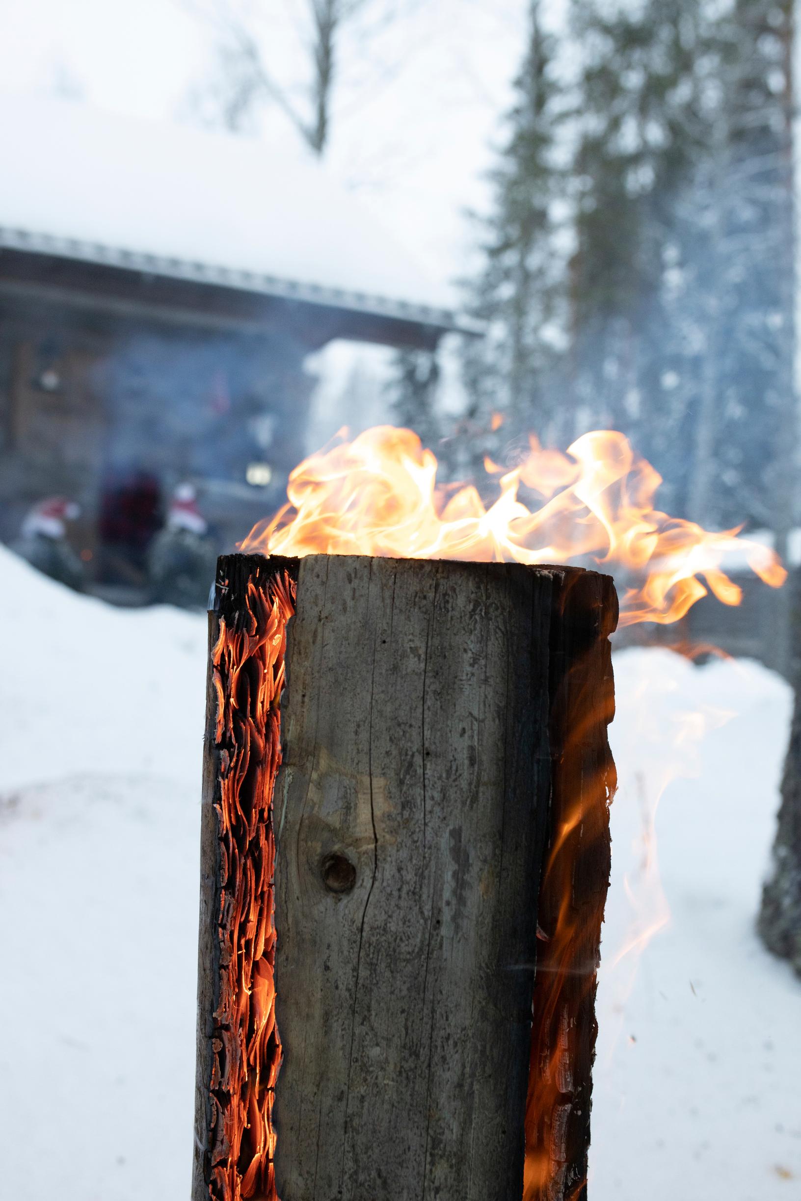 Jätkänkynttilä