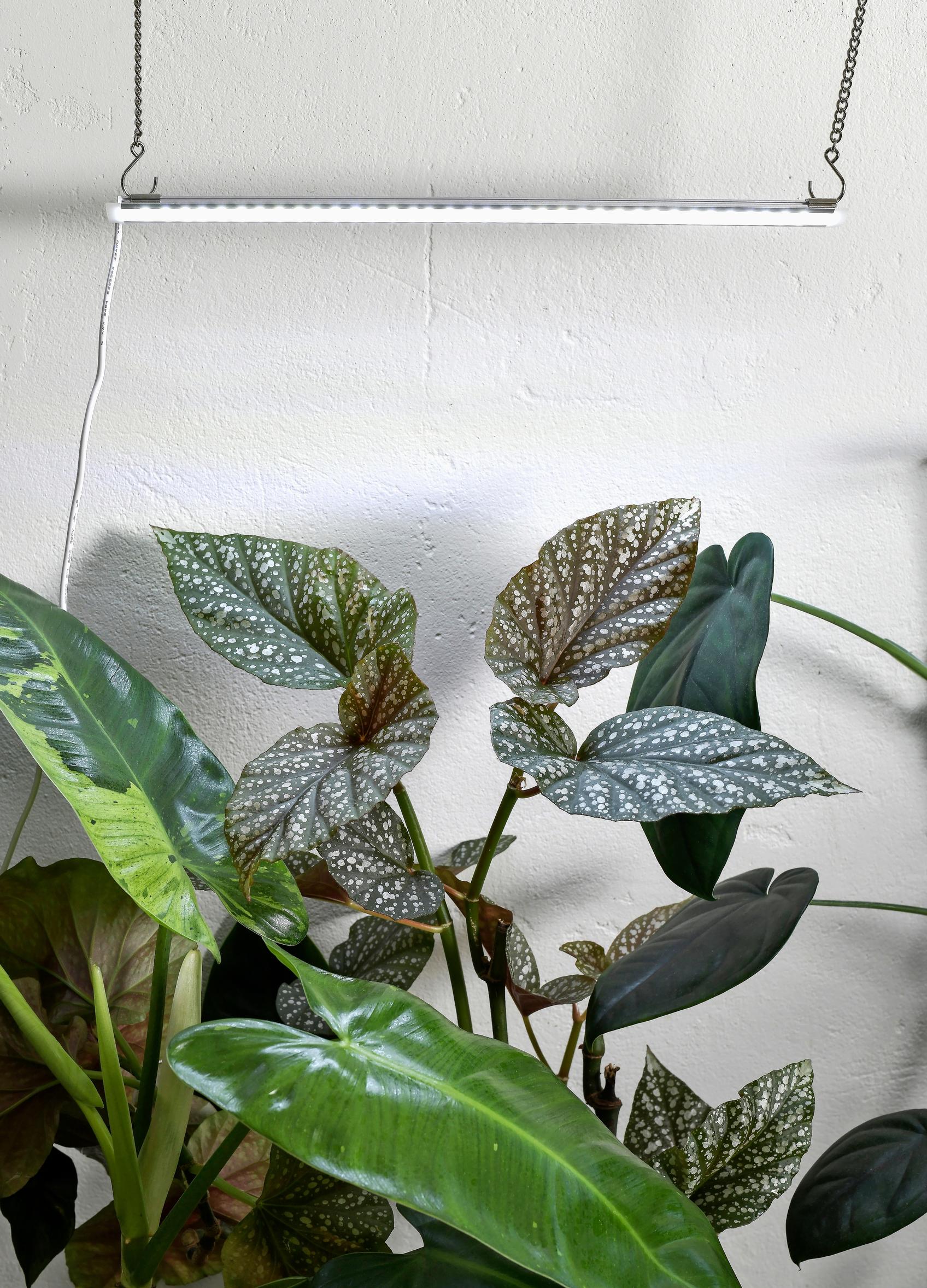 Kasvivaloksi tarkoitetut led-listat ovat siroja ja huomaamattomia.