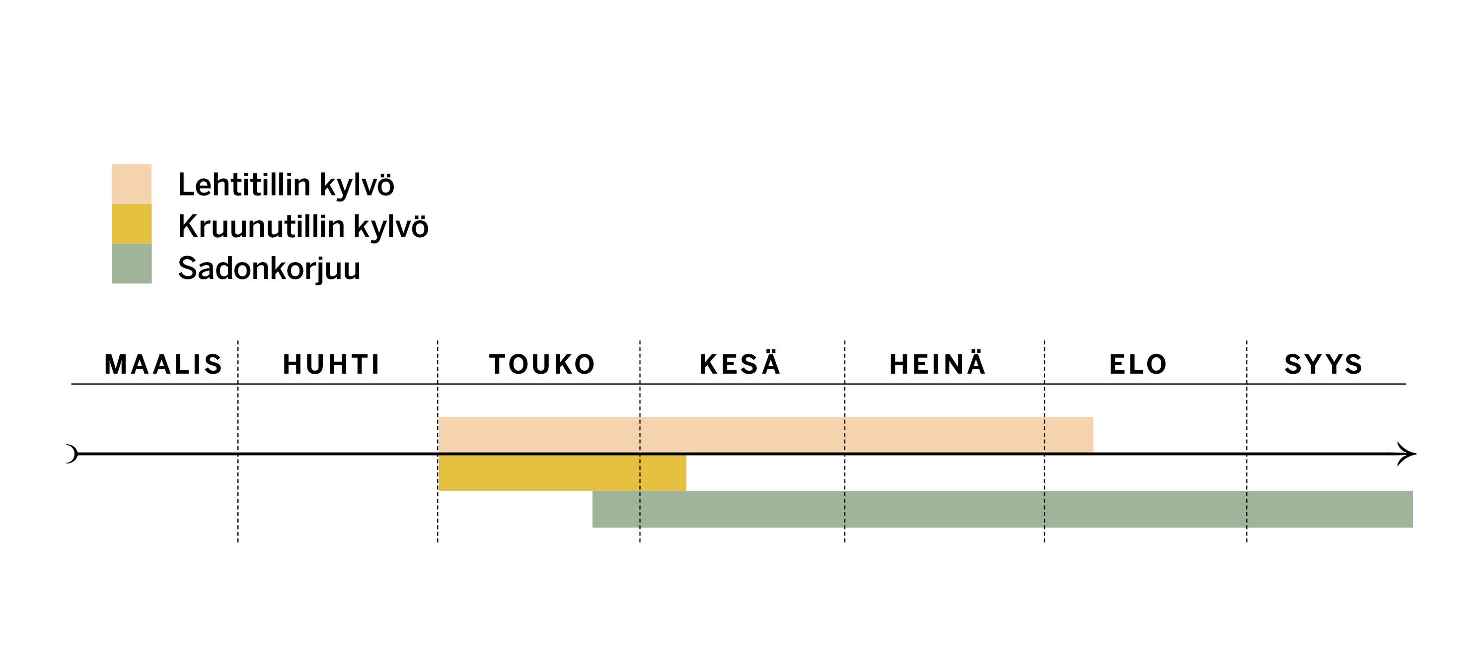 Tillin kylvö- ja sadonkorjuuajat