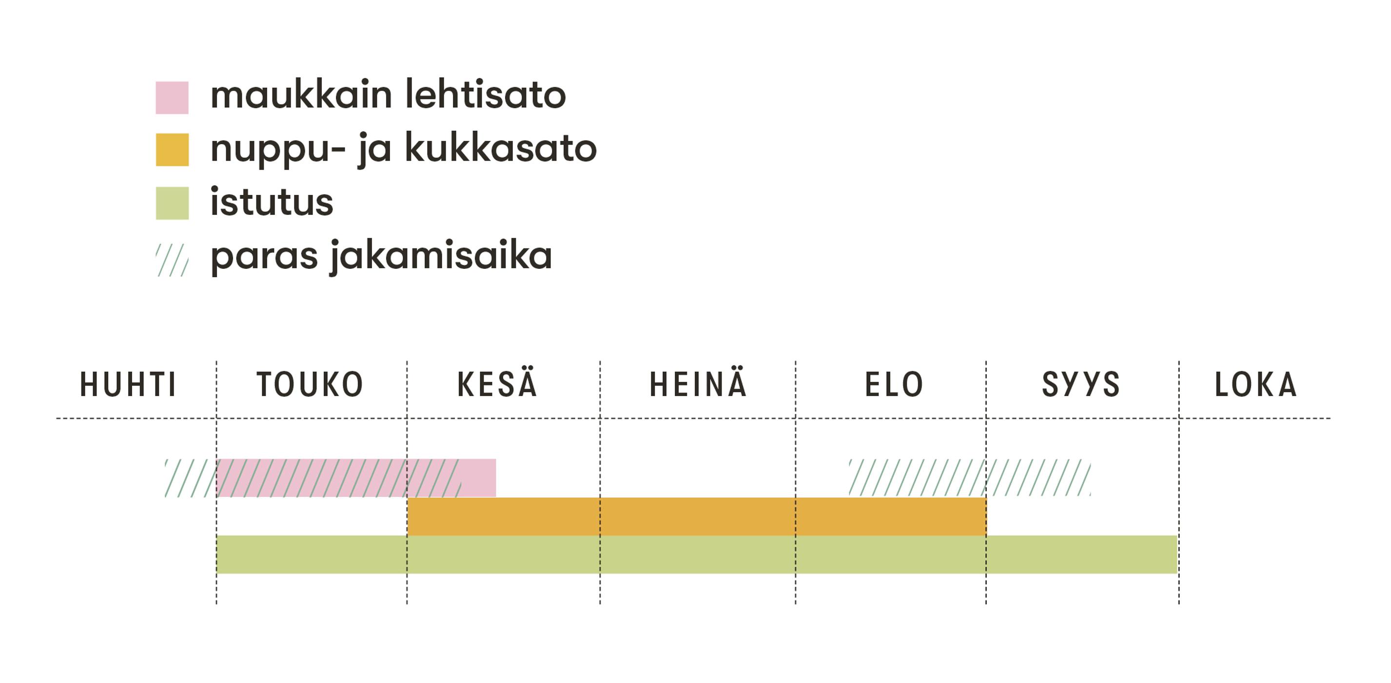 Kuunliljan satokauso