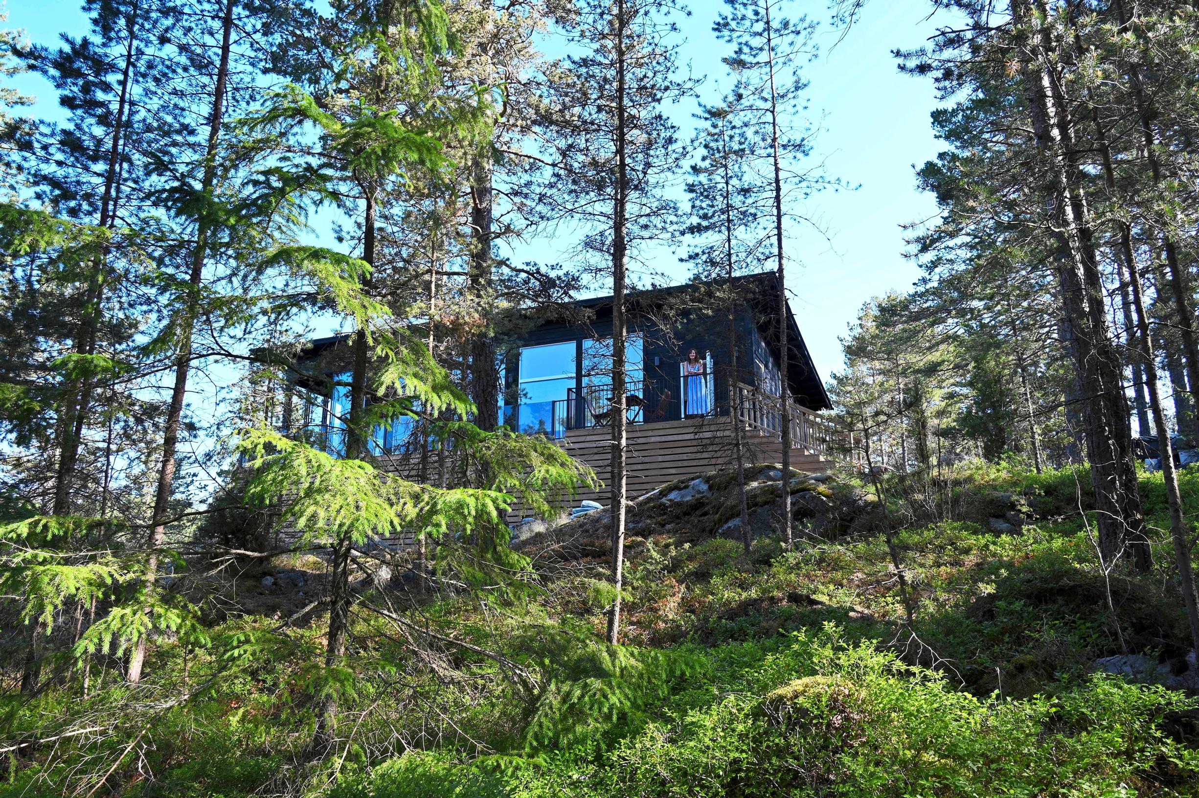 Mökki männikössä kukkulalla