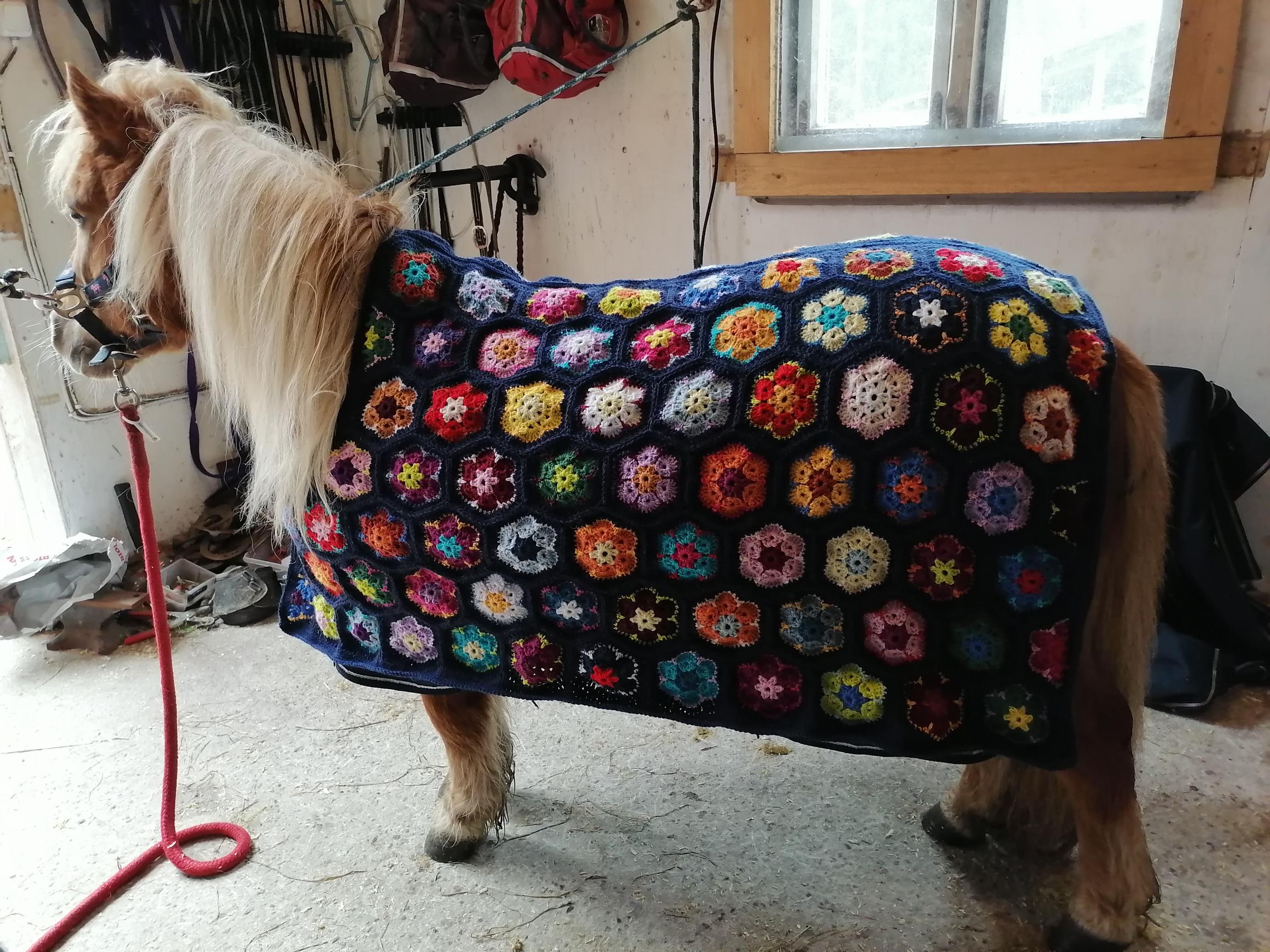 Ylläri-poni virkattu kukkaloimi päällään