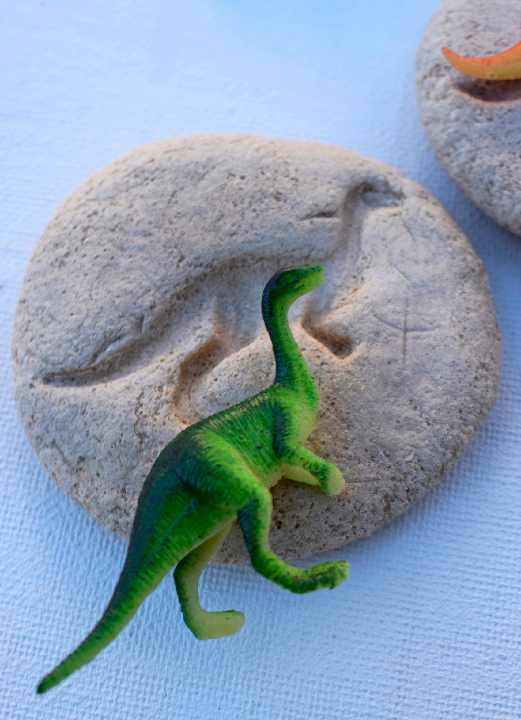 Taikataikinaan painettu dinosauruksen kuvio