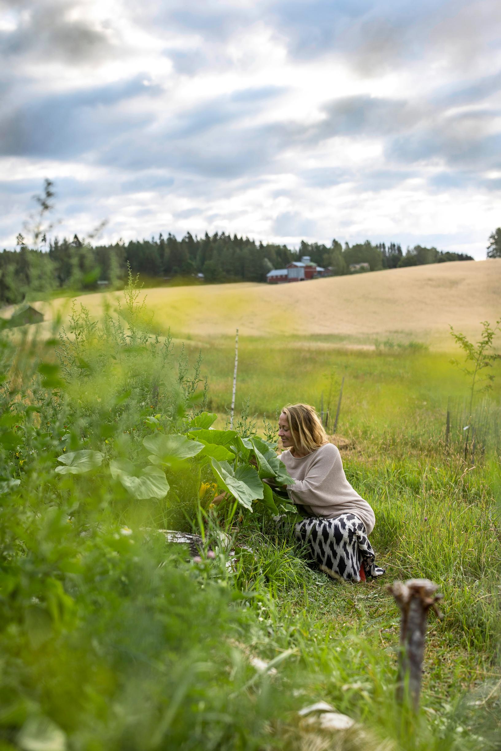 Ulla-Maija ja kurpitsapenkit pellon laidalla