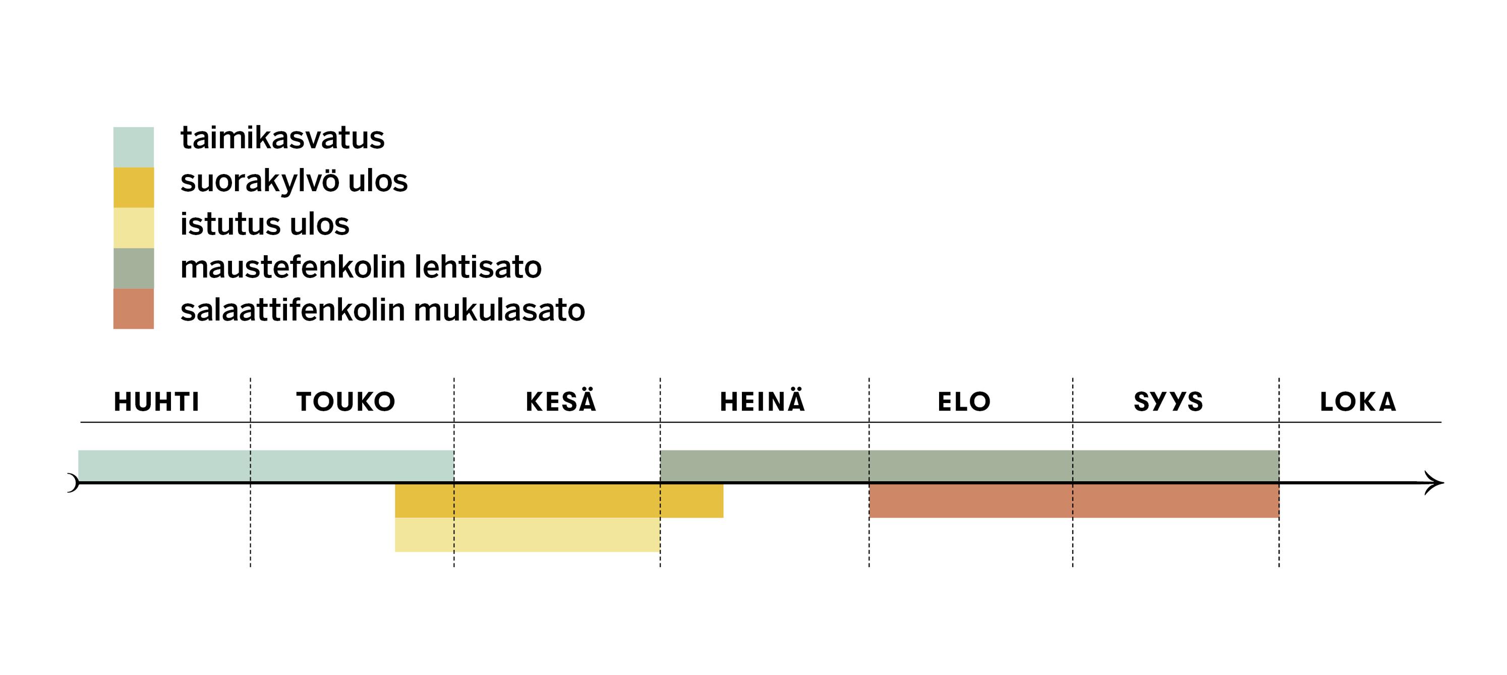 Fenkolin kasvatus- ja sadonkorjuuajat