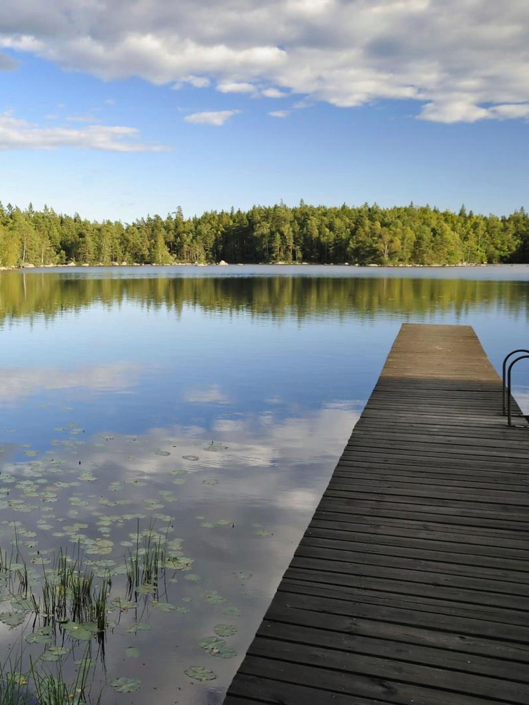 Sanotaan, että sateet nostavat vedenpintaa – mutta onko se totta vai tarua?