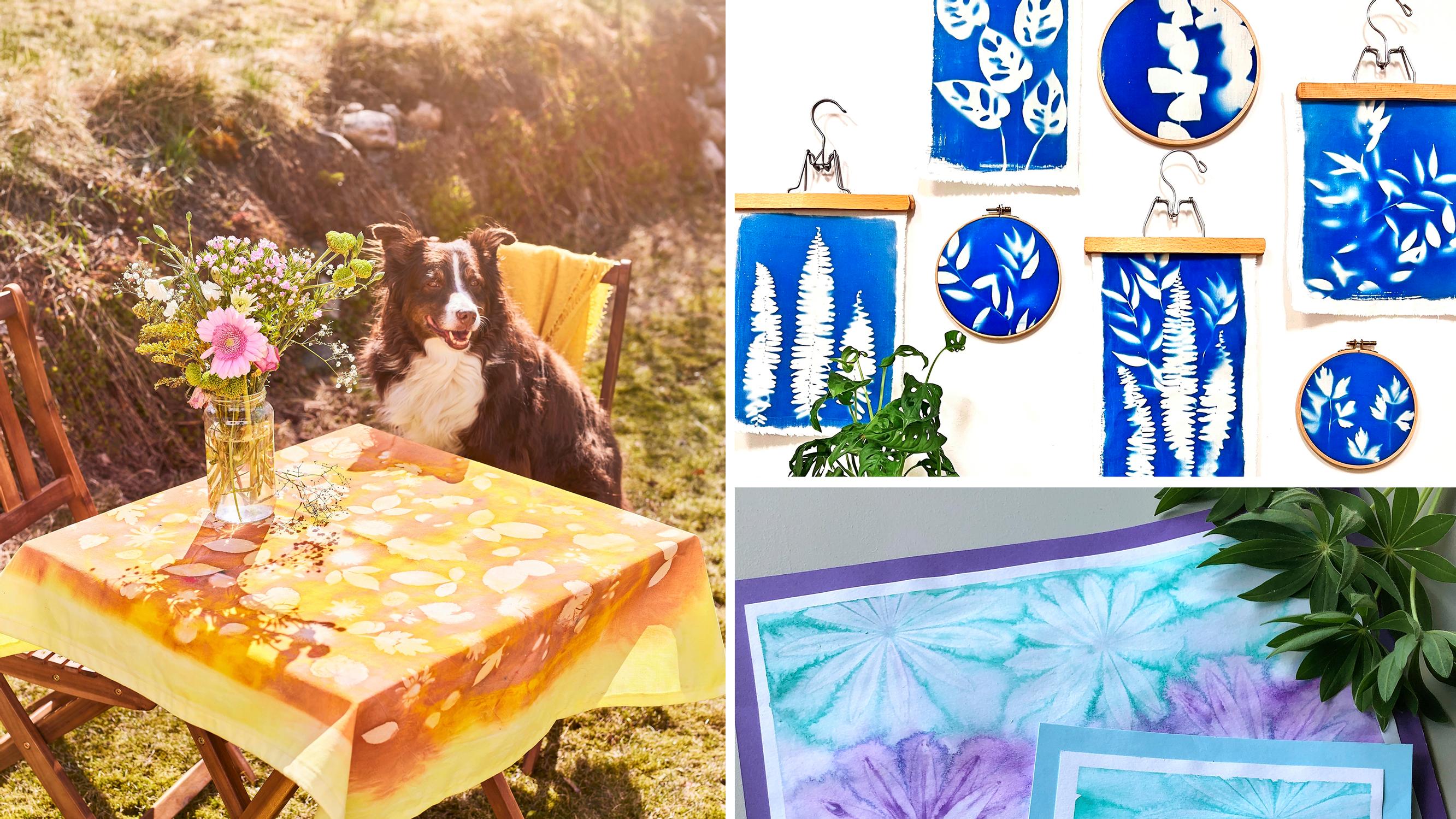 3 × valota auringon avulla – näin luot paperille ja kankaalle upeita kuvioita 