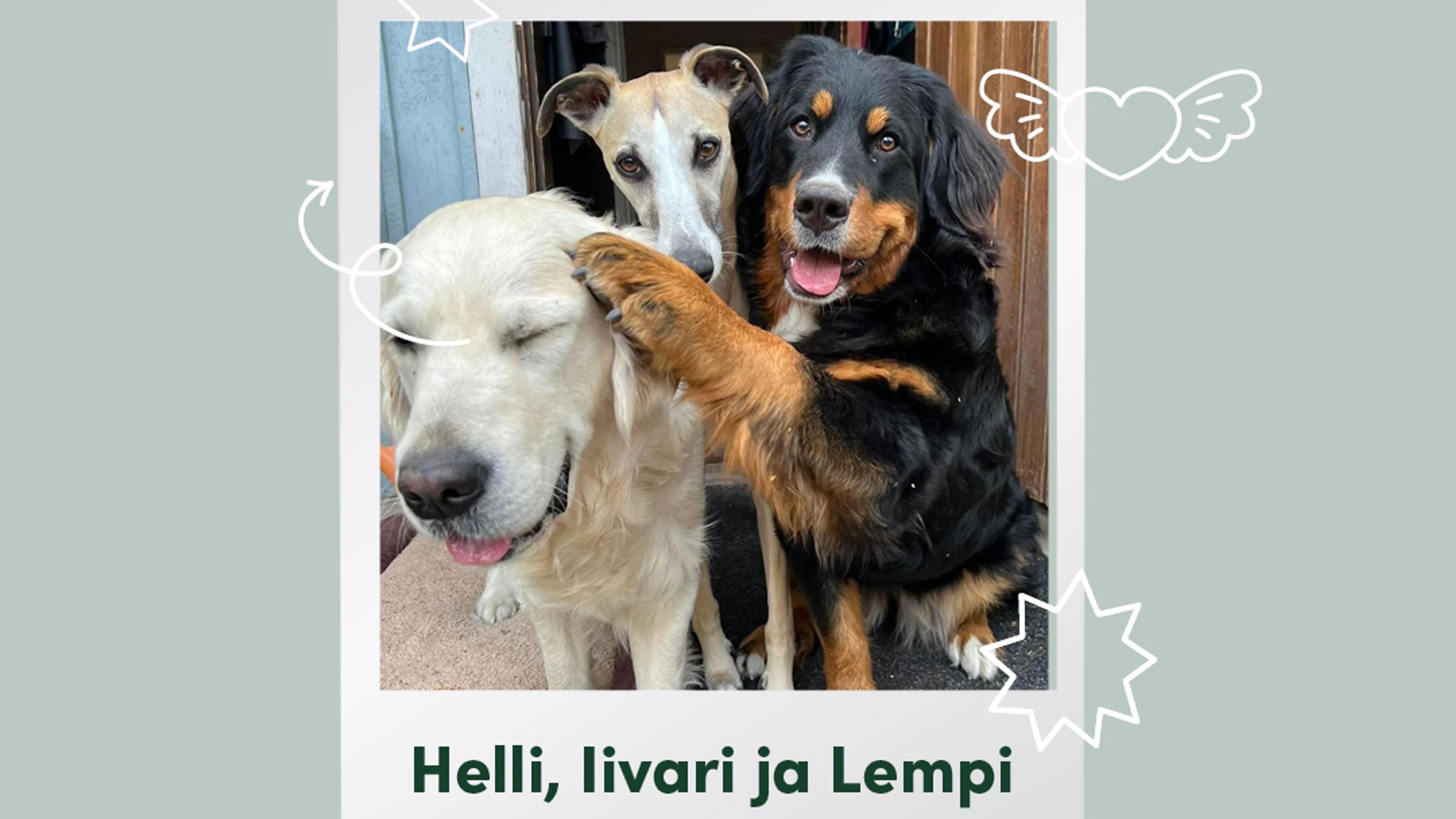 Lemmikkien ystäväkirjassa Helli, Iivari ja Lempi: ”Rakastamme perhettämme"