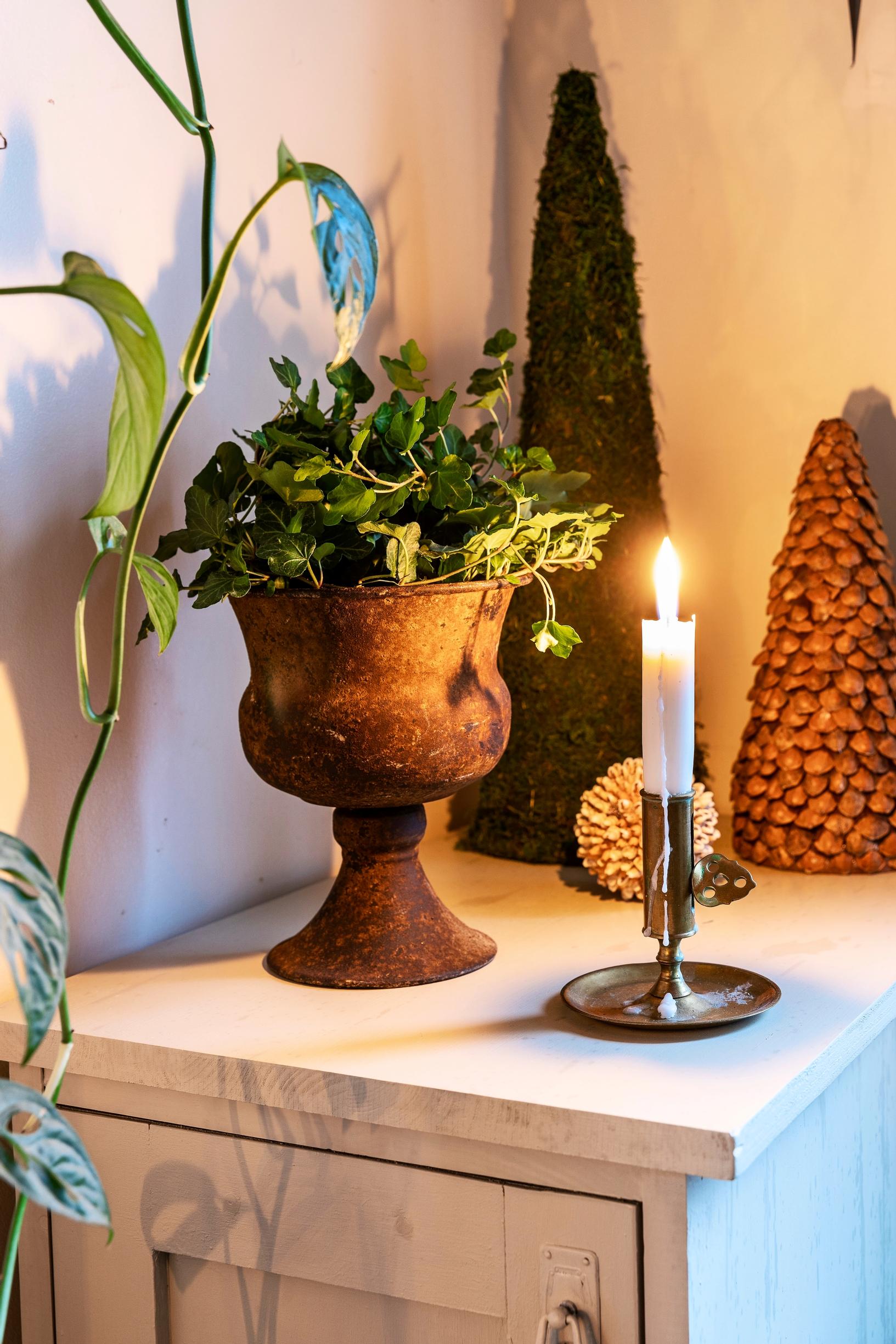 Muratti ruosteisessa ja koristeellisessa kukkaruukussa