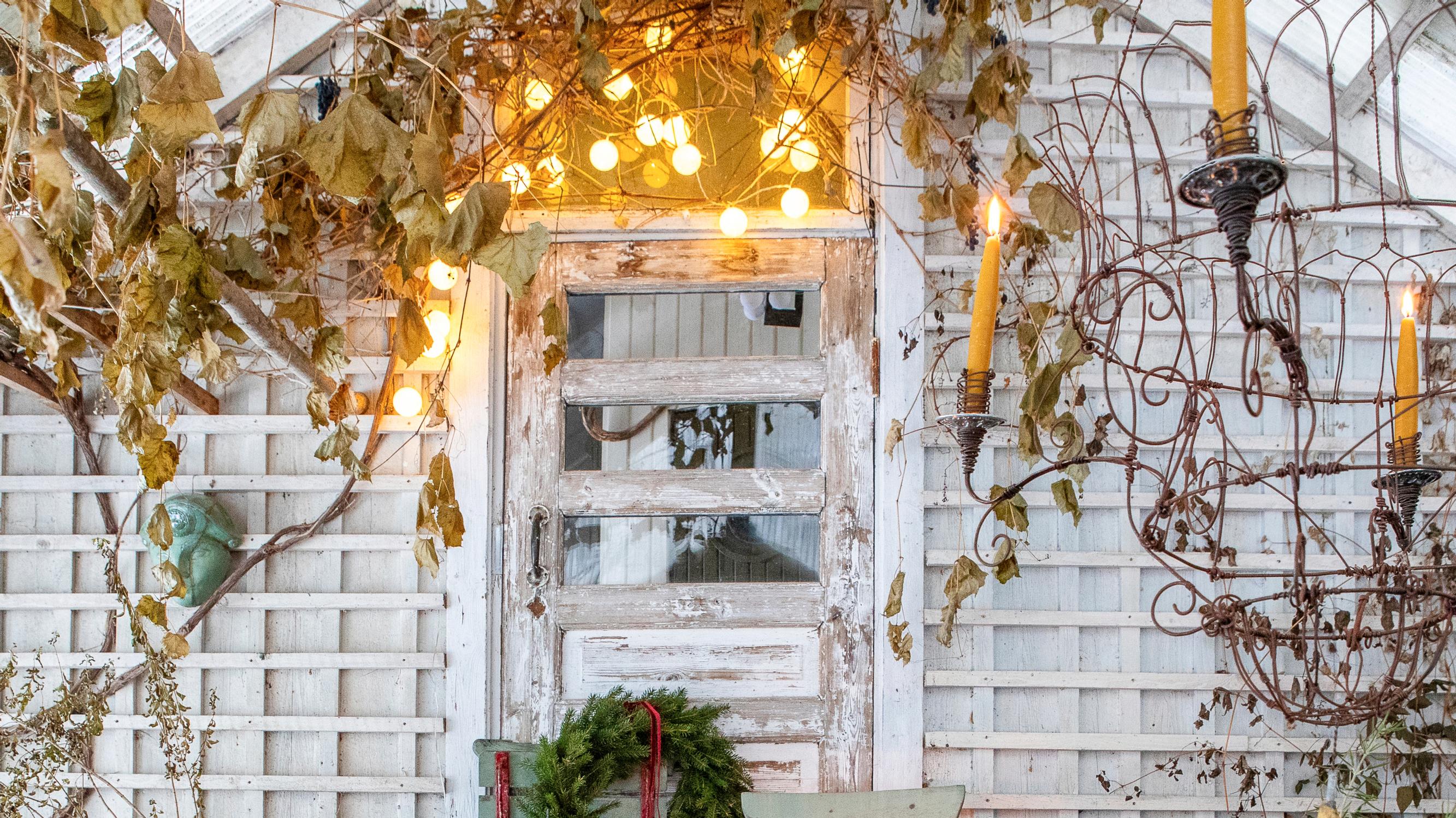 Puutarhurin kasvihuone täyttyy joulun alla havuista ja kauden kukista – parhaat kranssit syntyvät tuijista!