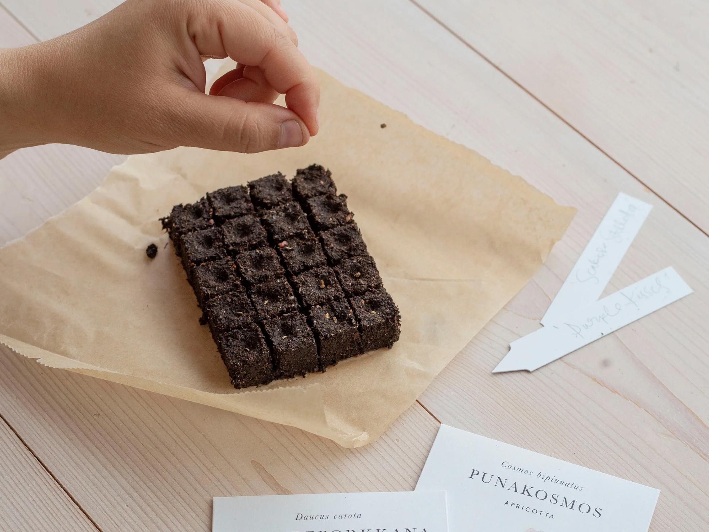 Sormet syyhyten kylvöjen pariin! Nämä 3 poimintaa saavat sinut odottamaan tulevaa puutarhakautta