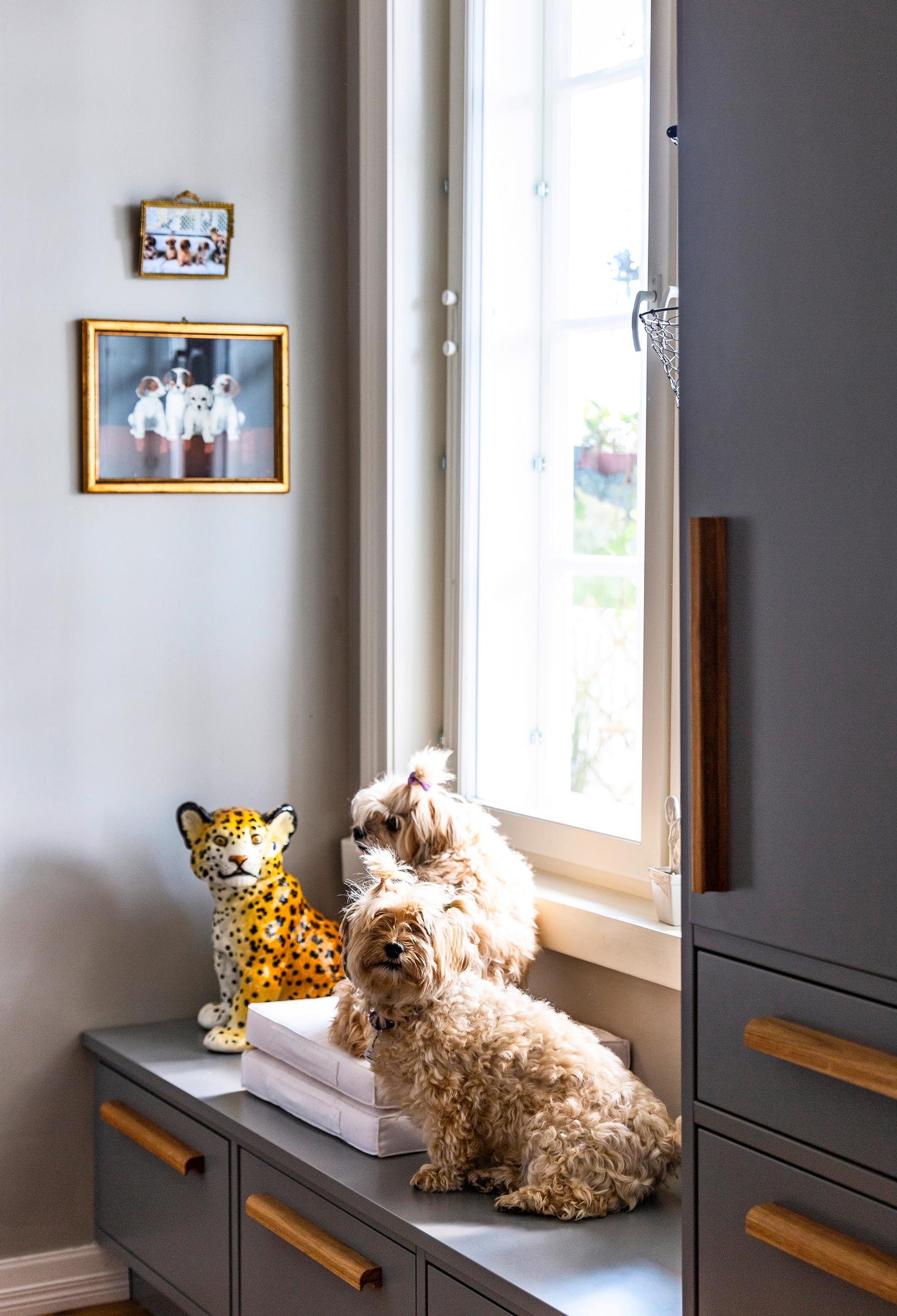 Ikkunan ympärille rakennetut keittiön säilytyskalusteet