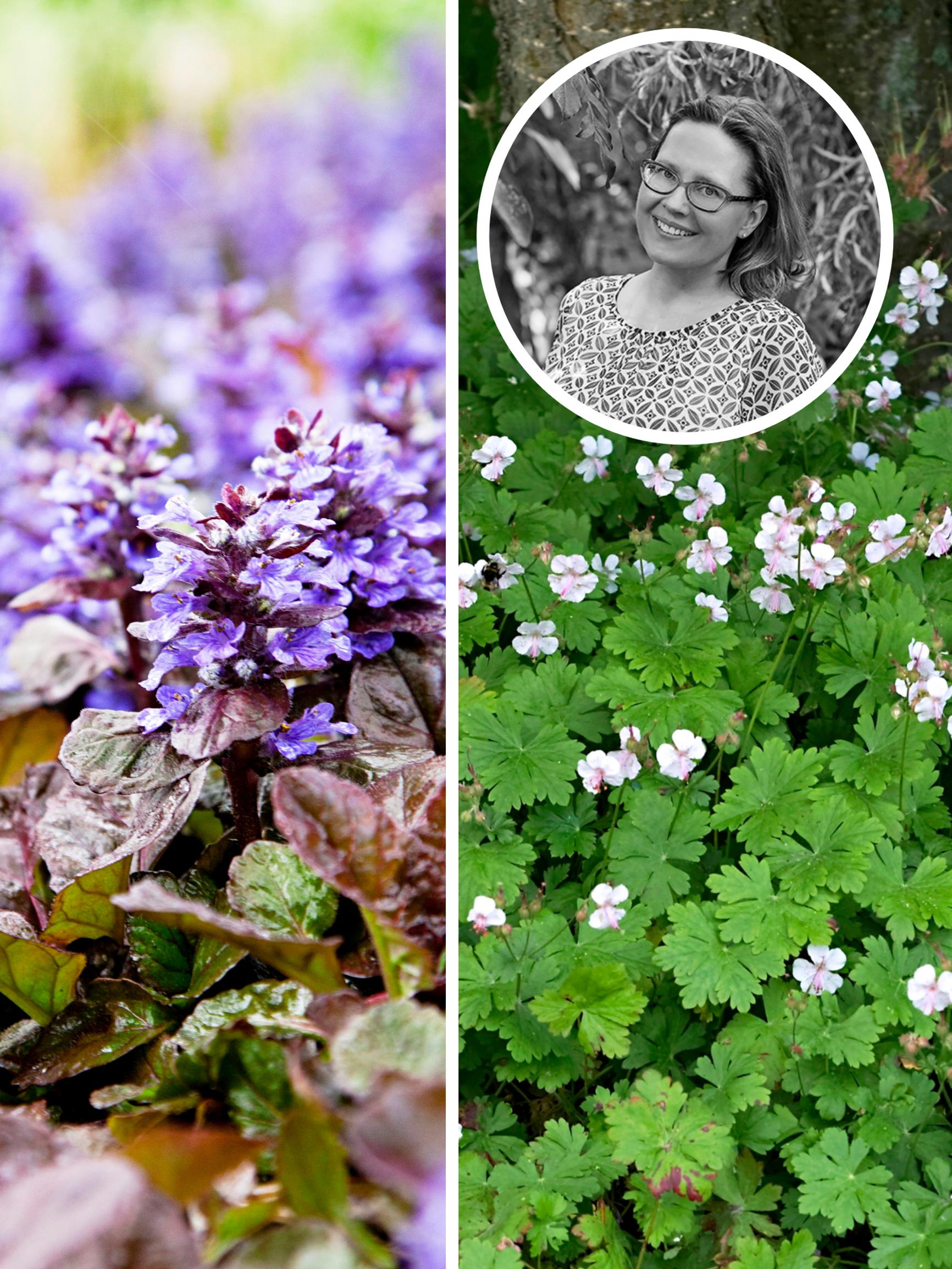 Hyvästi hukkatila ja huonokuntoinen nurmikko! Pihasuunnittelija muutti kapean kuilun kahden talon välissä vehreäksi osaksi puutarhaa 