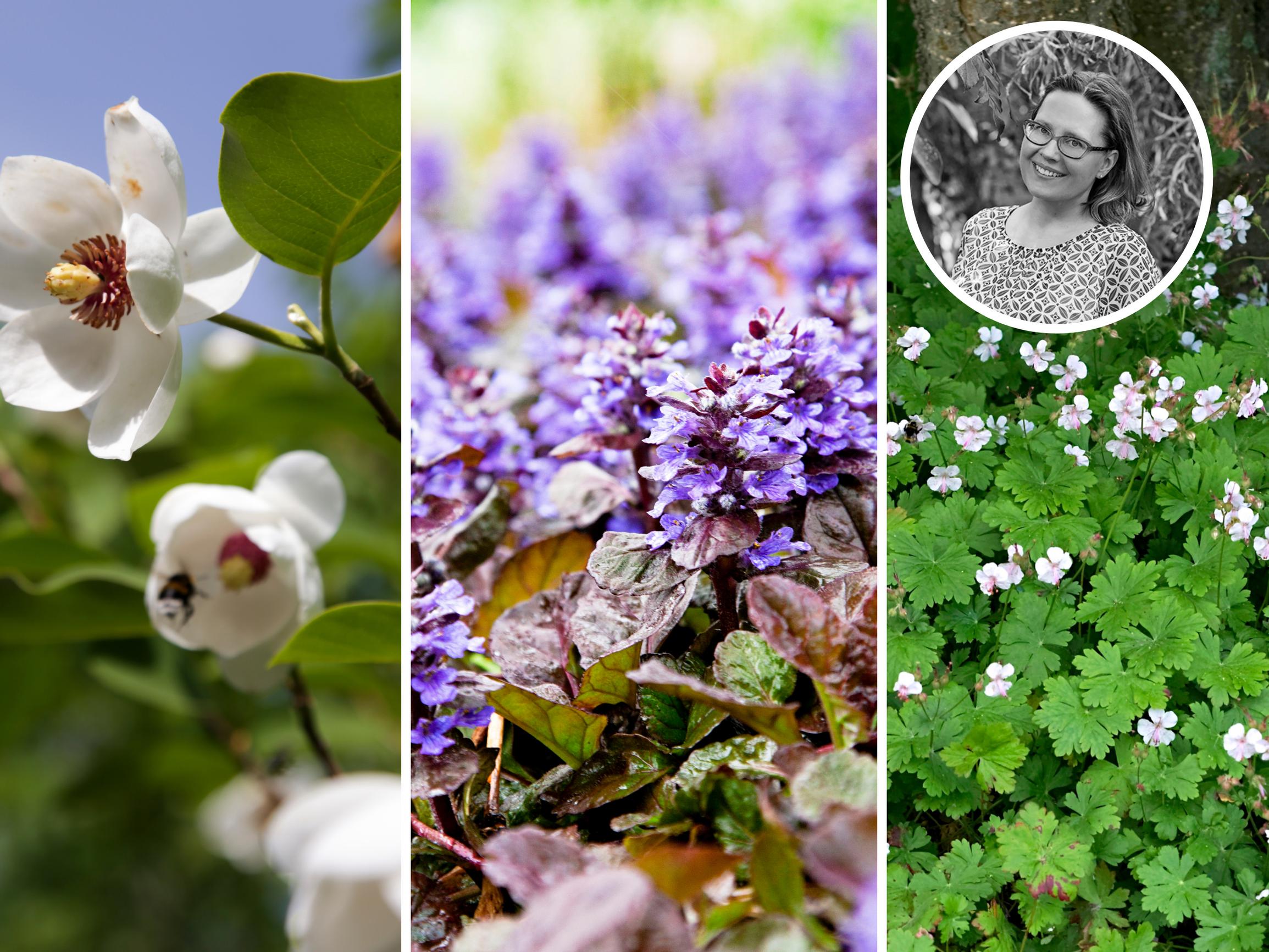 Hyvästi hukkatila ja huonokuntoinen nurmikko! Pihasuunnittelija muutti kapean kuilun kahden talon välissä vehreäksi osaksi puutarhaa 