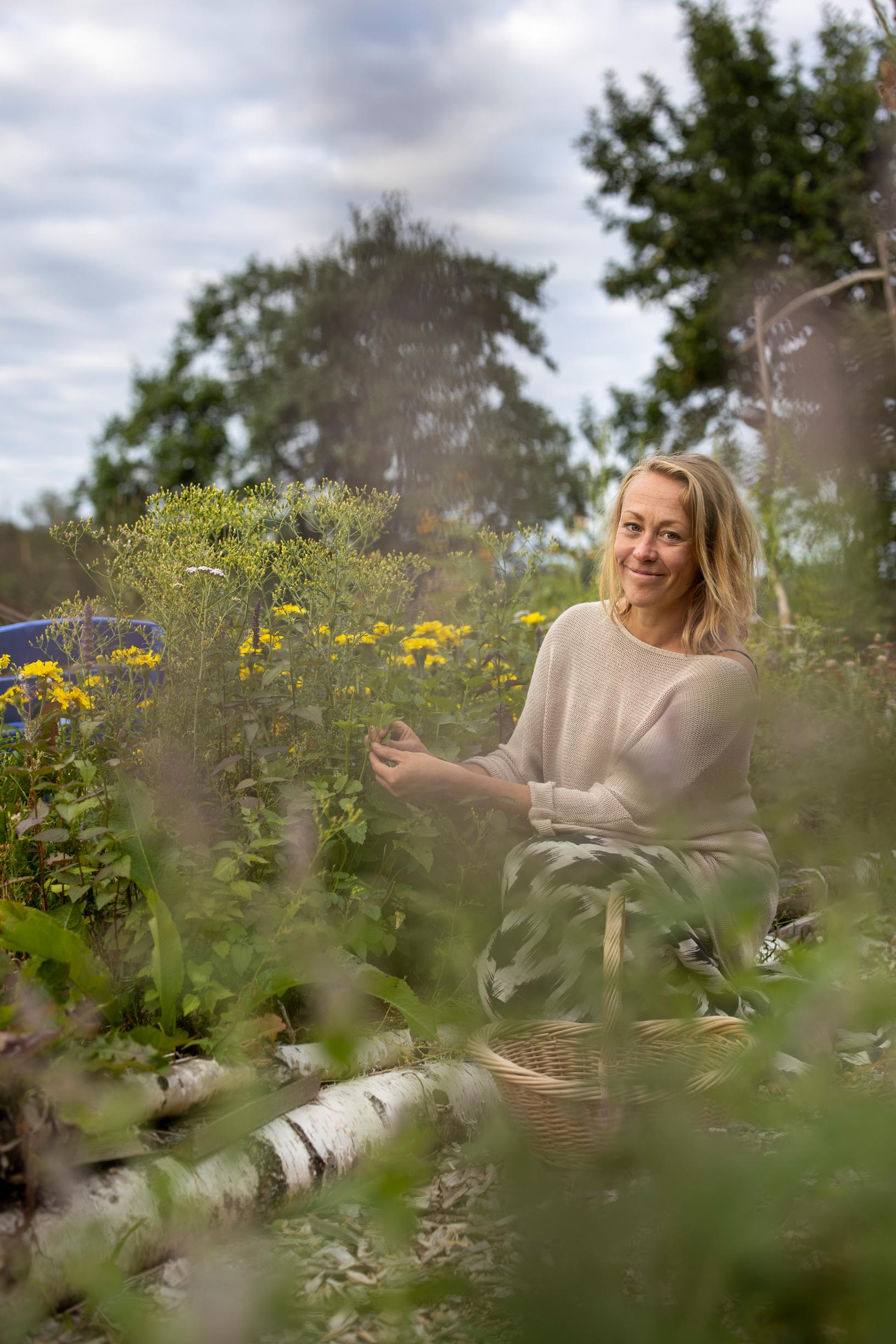 Ulla-Maija poimimassa anisiisoa puutarhassaan