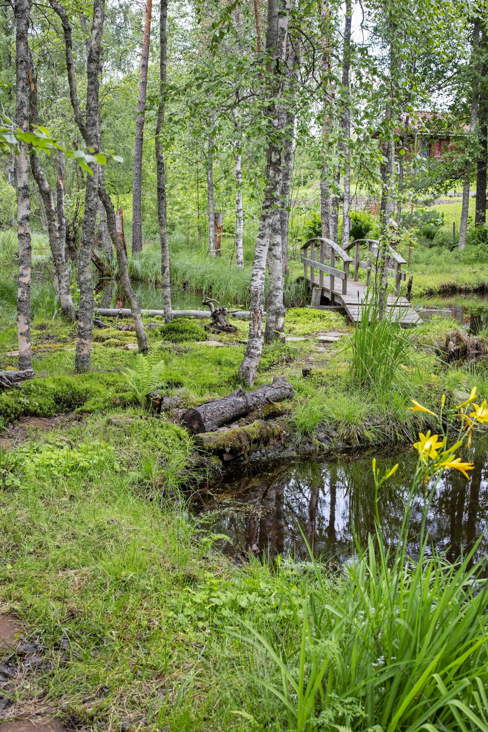 luonnonmukainen puutarha