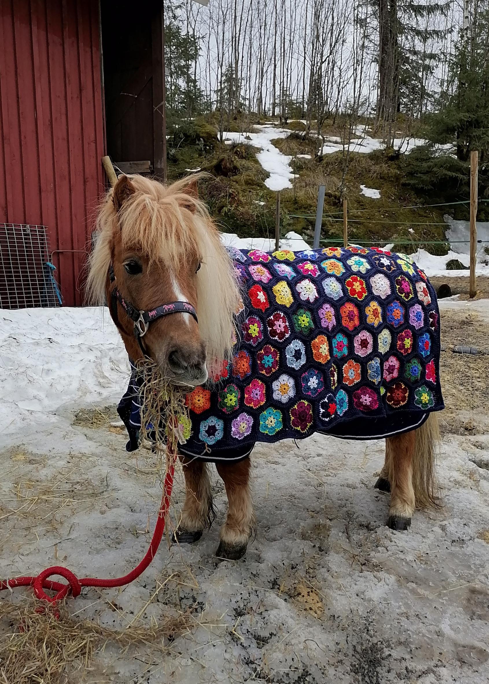 Ylläri-poni virkattu kukkaloimi päällään