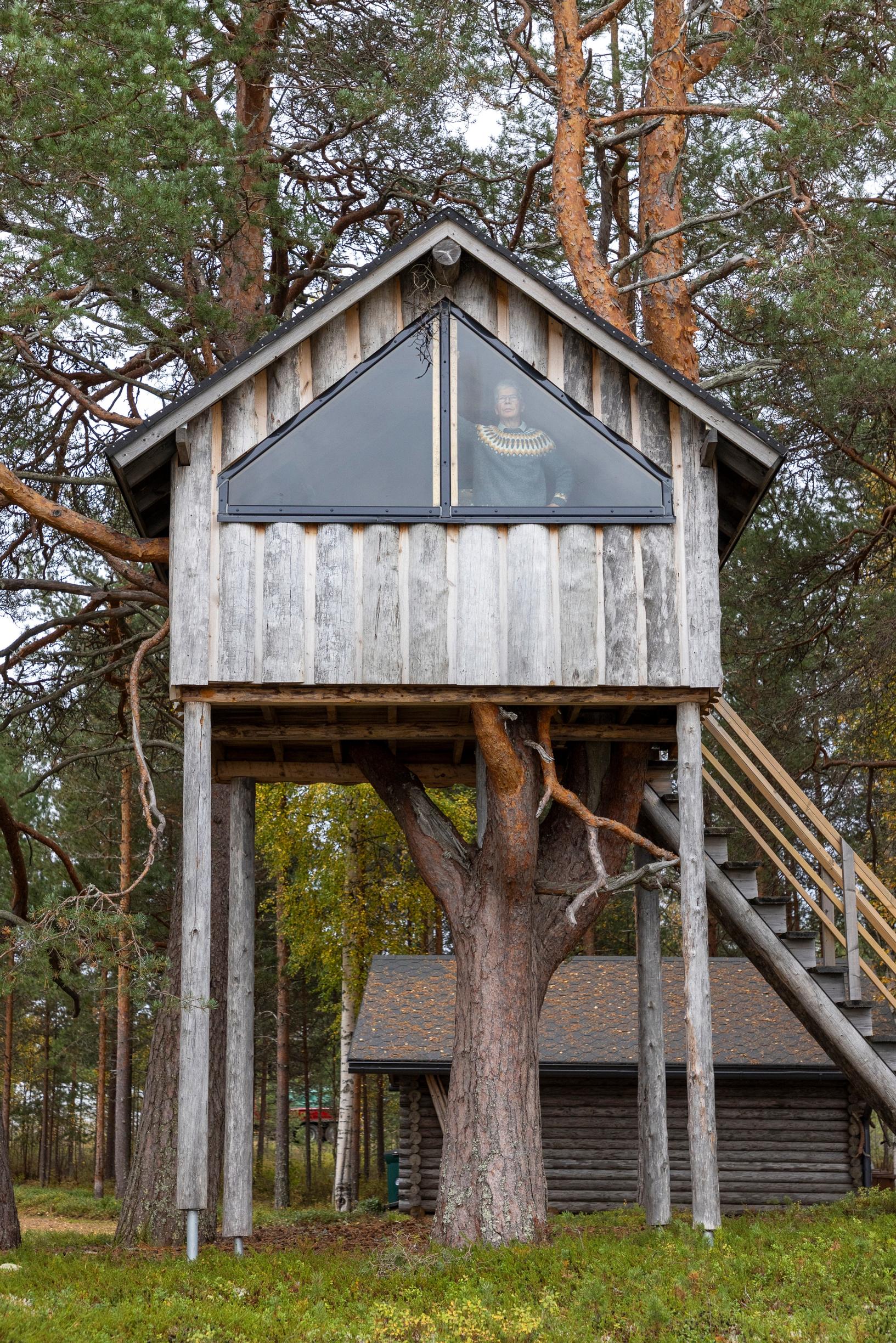 mies seisoo puuhun rakennetun majan ikkunan takana, taustalla metsää, portaat