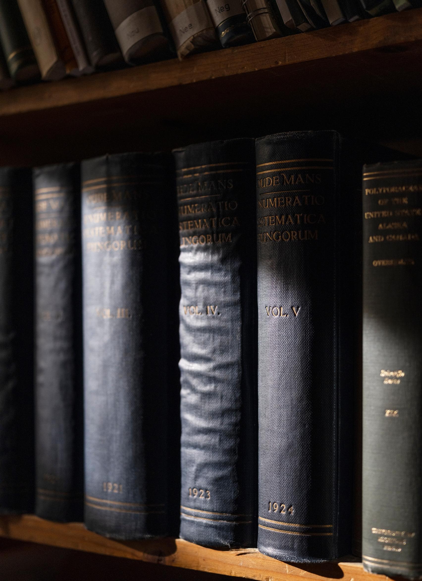 Enumeratio systematica fungorum eli "Sienten systemaattinen luettelo" -teossarja julkaistiin vuosina 1919–1924.