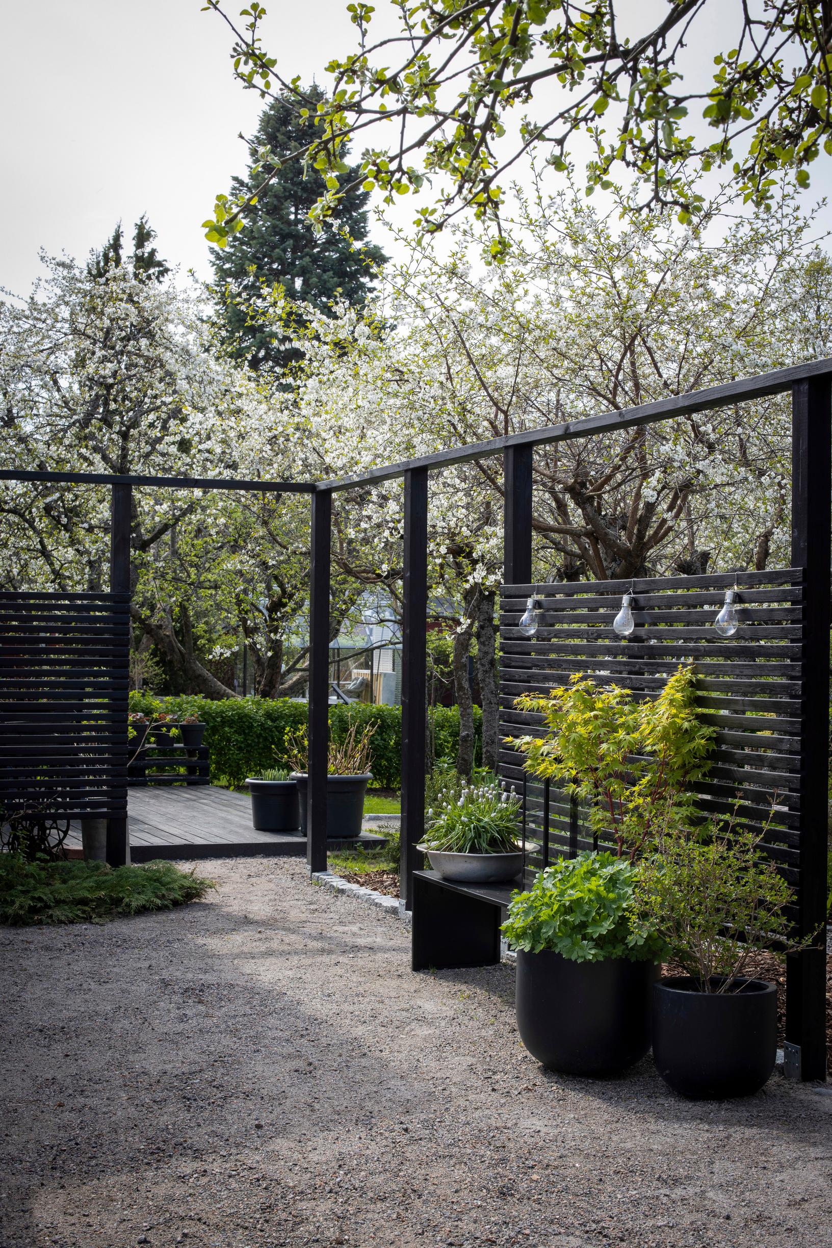 Puutarhan sora-alue ja seinäpergola