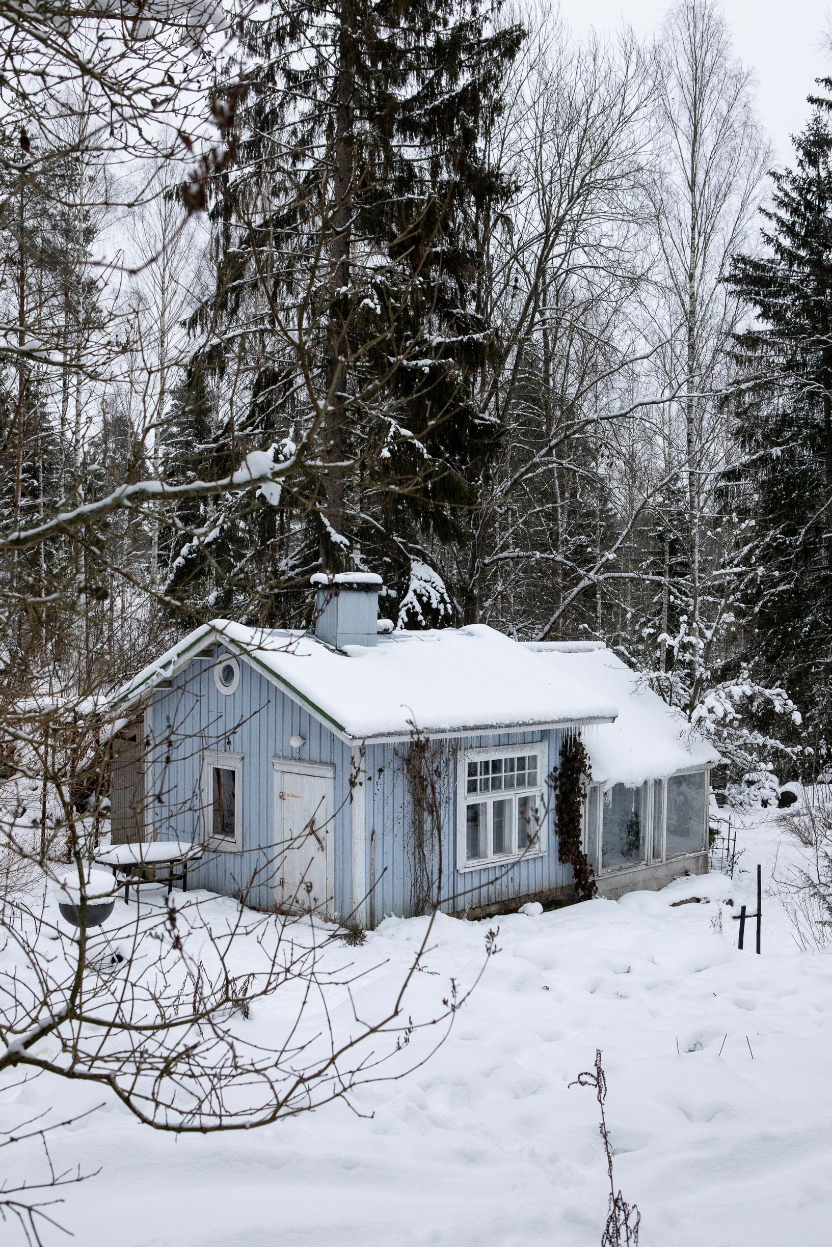 Eevan talvinen puutarha