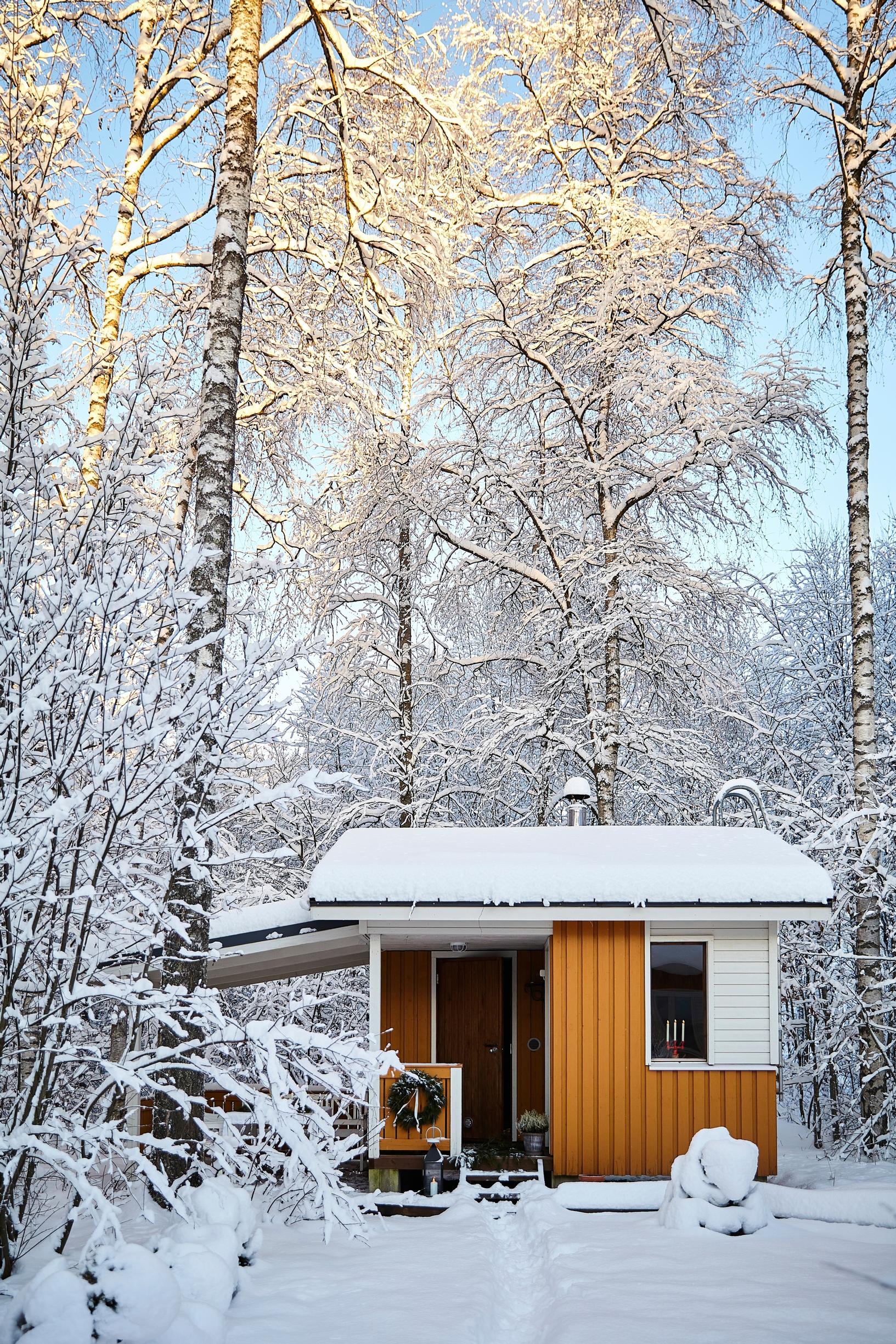 keltainen pihasauna ja luminen metsä