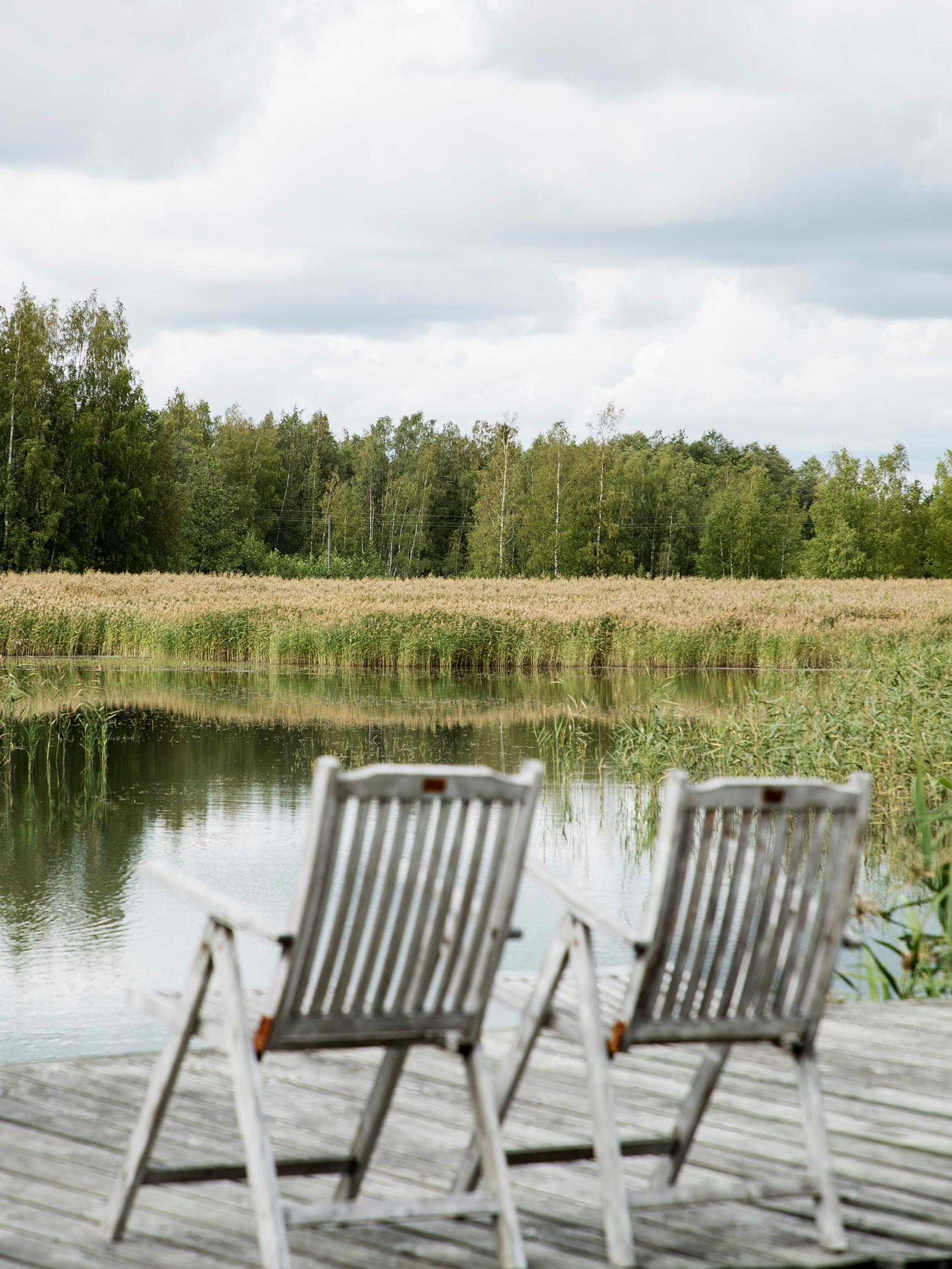 Järviruoko pois rannasta! Ammattilainen ohjeistaa, kuinka pääset kasvustosta eroon