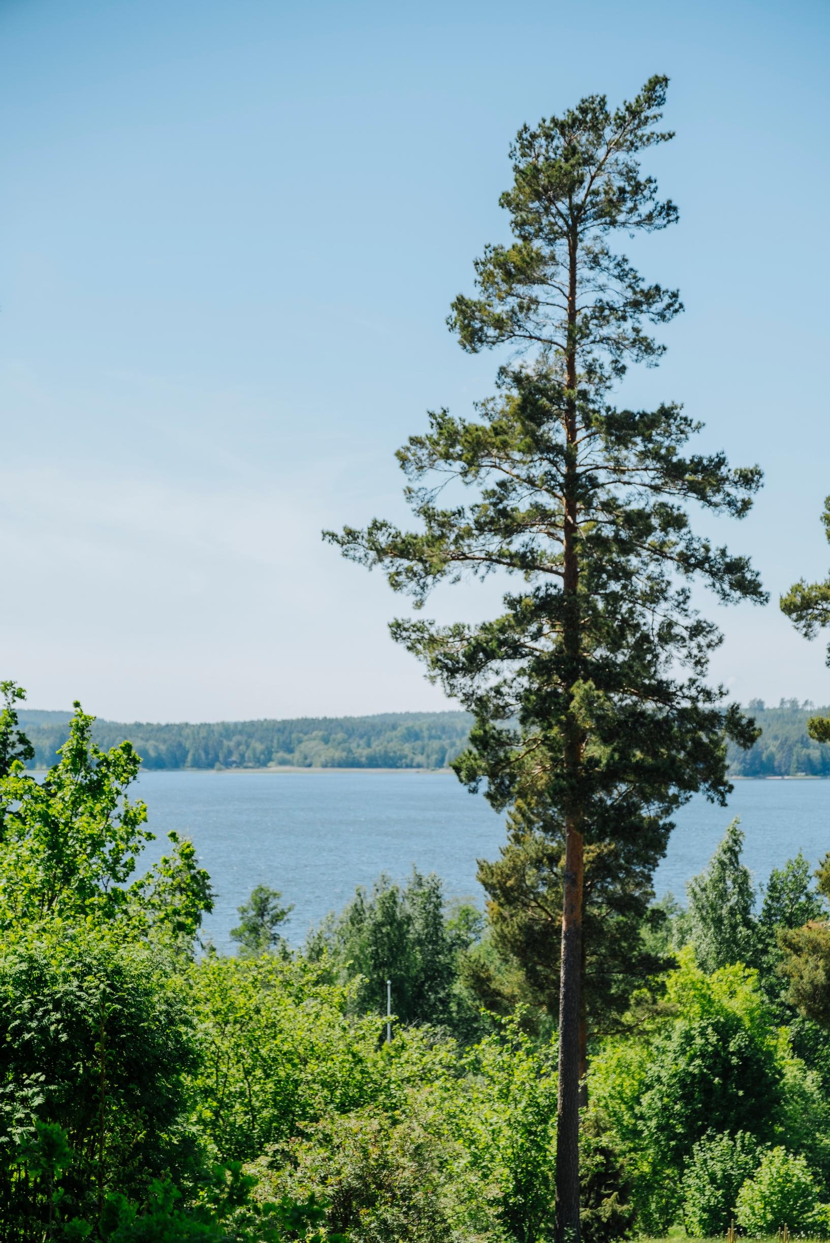 näkymä järvelle