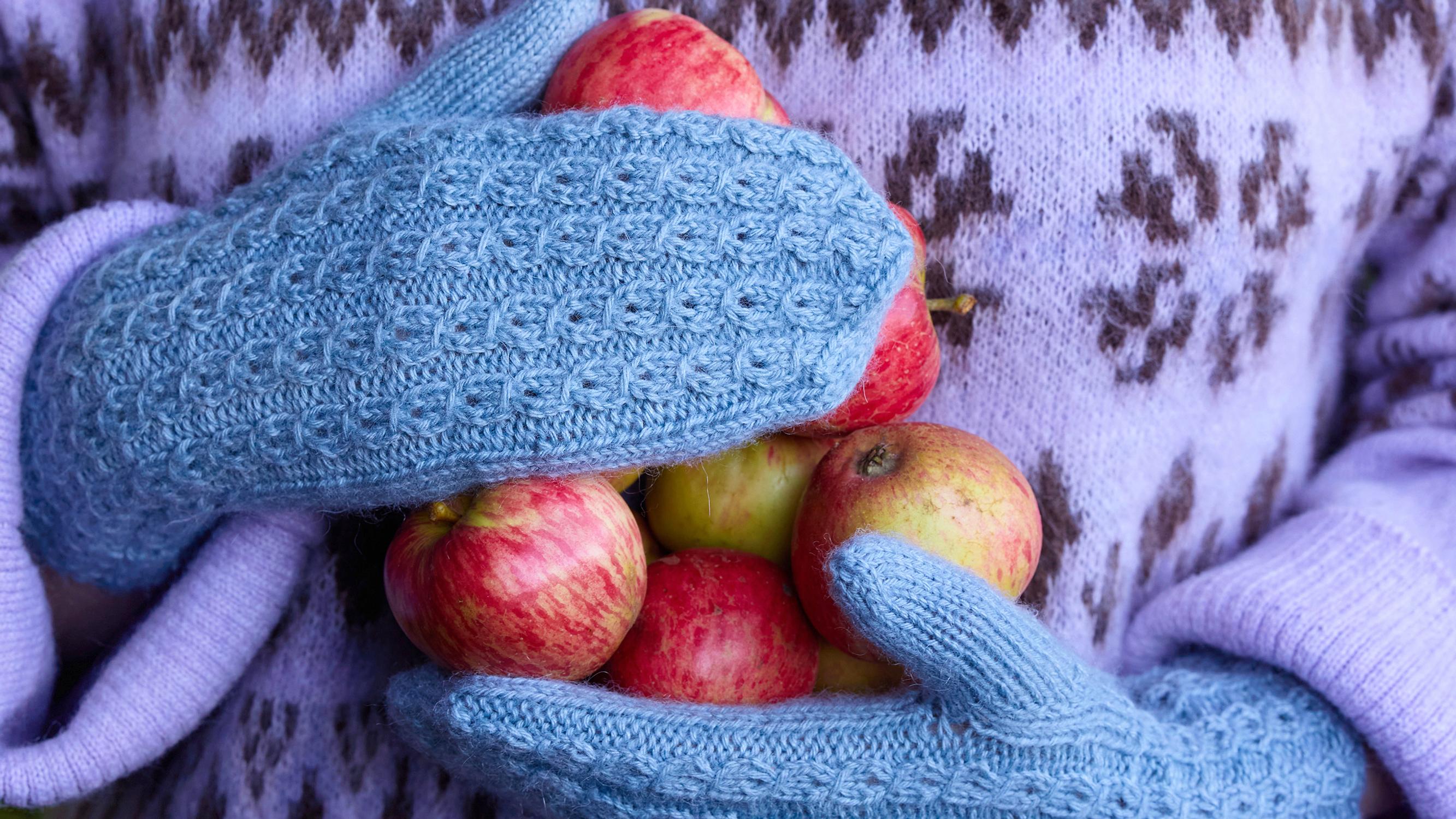 Valepalmikkolapaset – talven suosikkilapaset valmistuvat yllättävän helposti