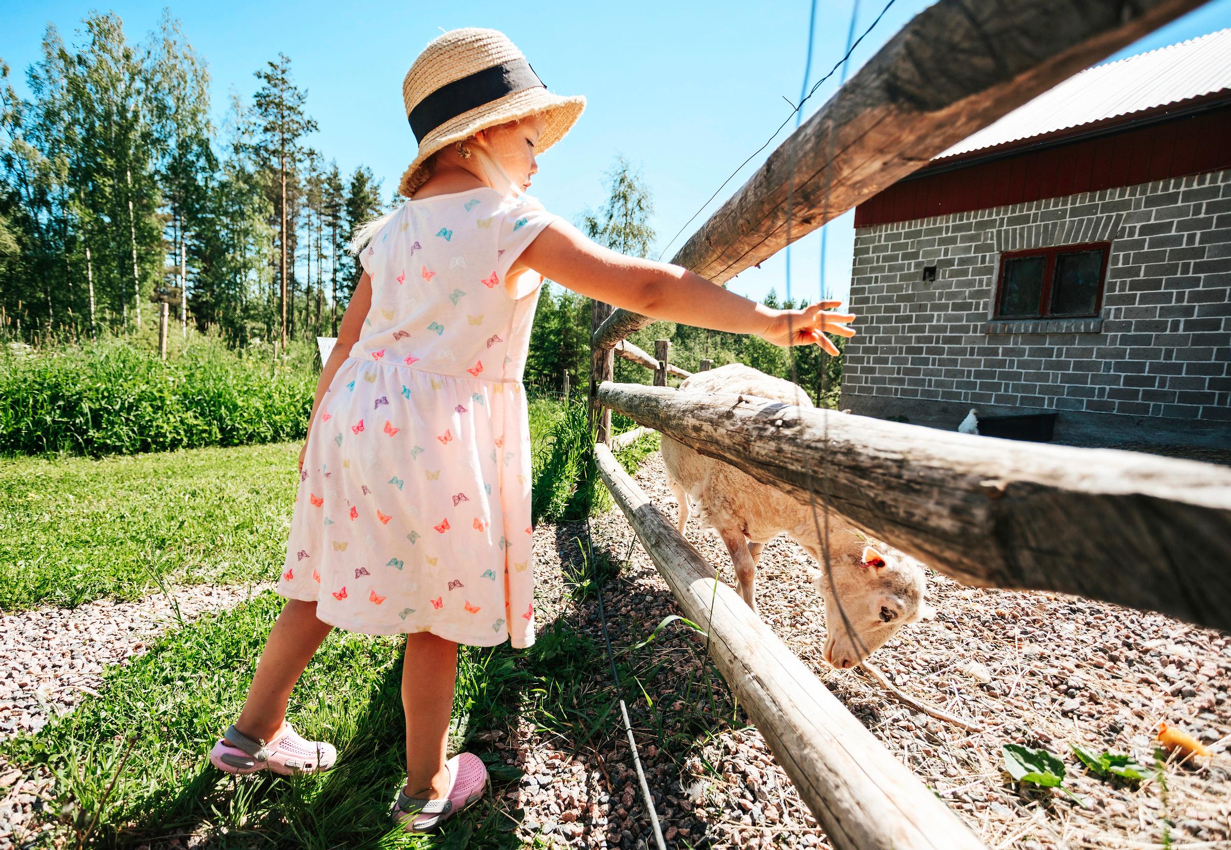 Julia ja perheen lammas