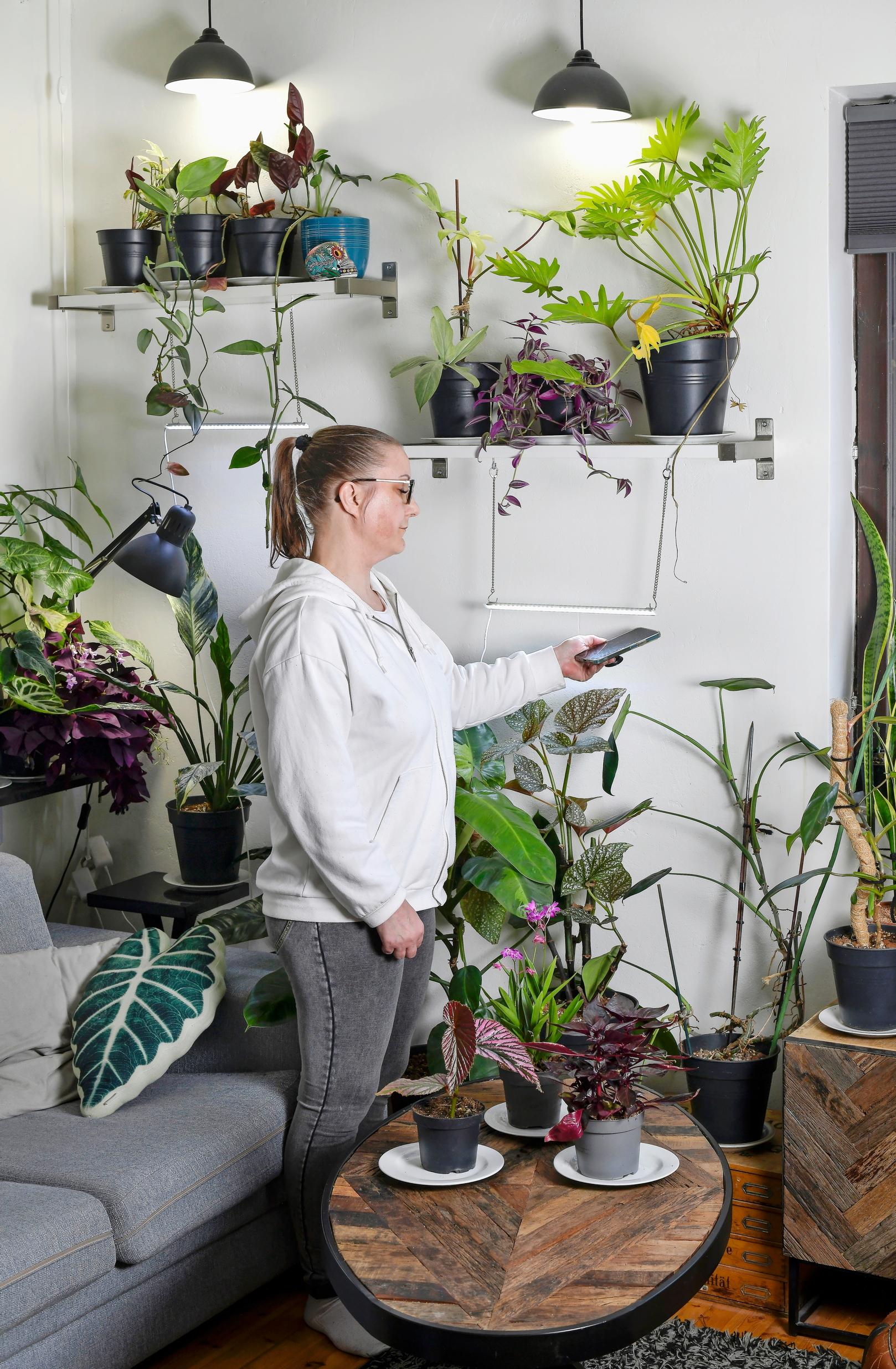 Älypuhelimen sovelluksella saa suuntaa-antavan lukeman valaistusvoimakkuudesta.