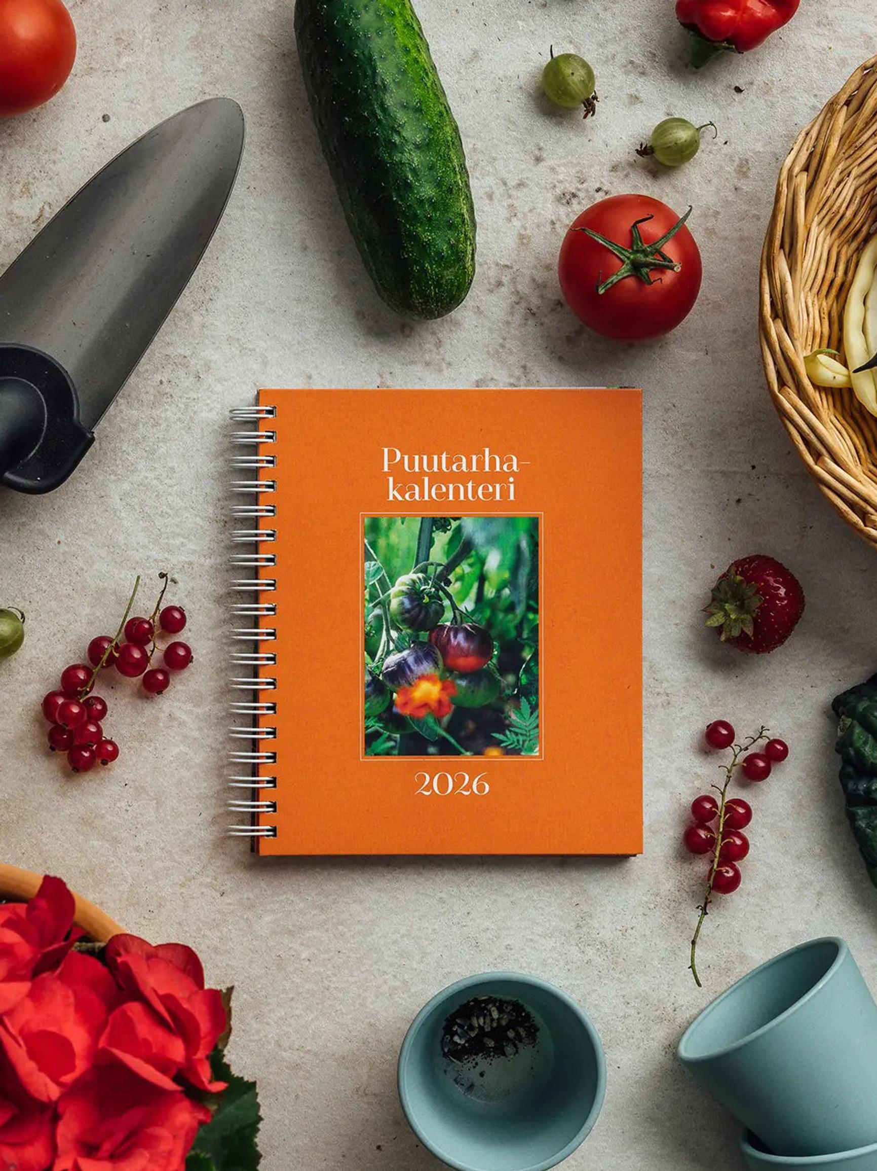 Mitä pihalla kannattaa tehdä nyt? Puutarhakalenteri neuvoo vuoden ympäri
