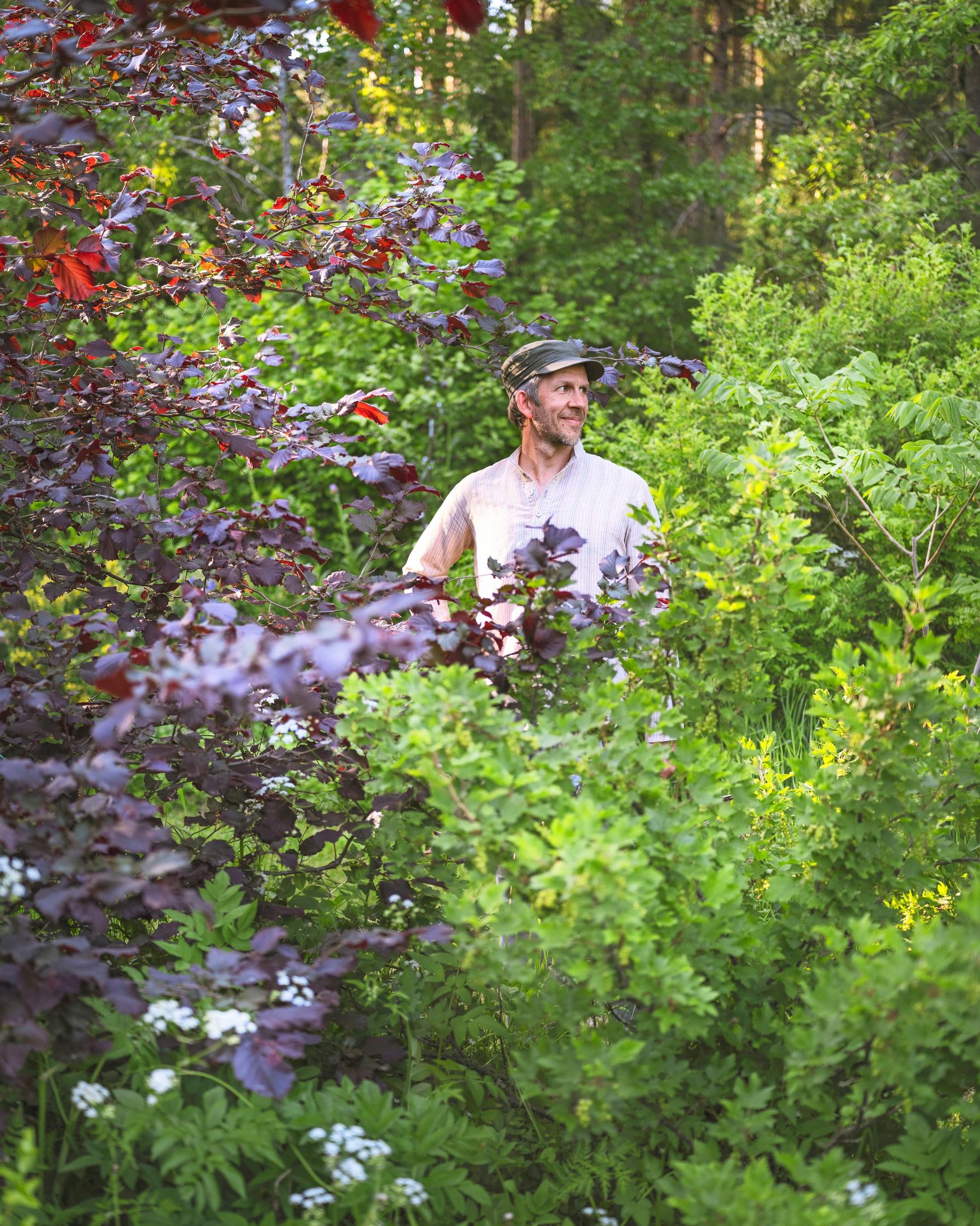 Syötävä metsäpuutarha ja sen tarhuri Joel Rosenberg 