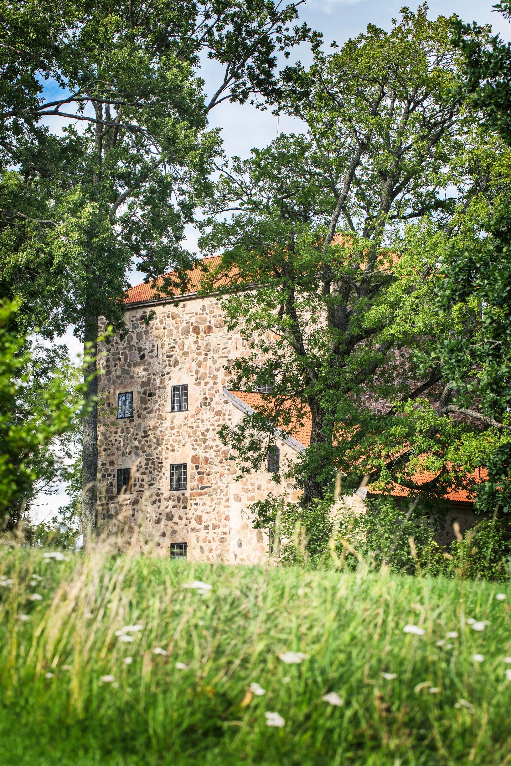 Kivilinna Qvidjassa puiden katveessa