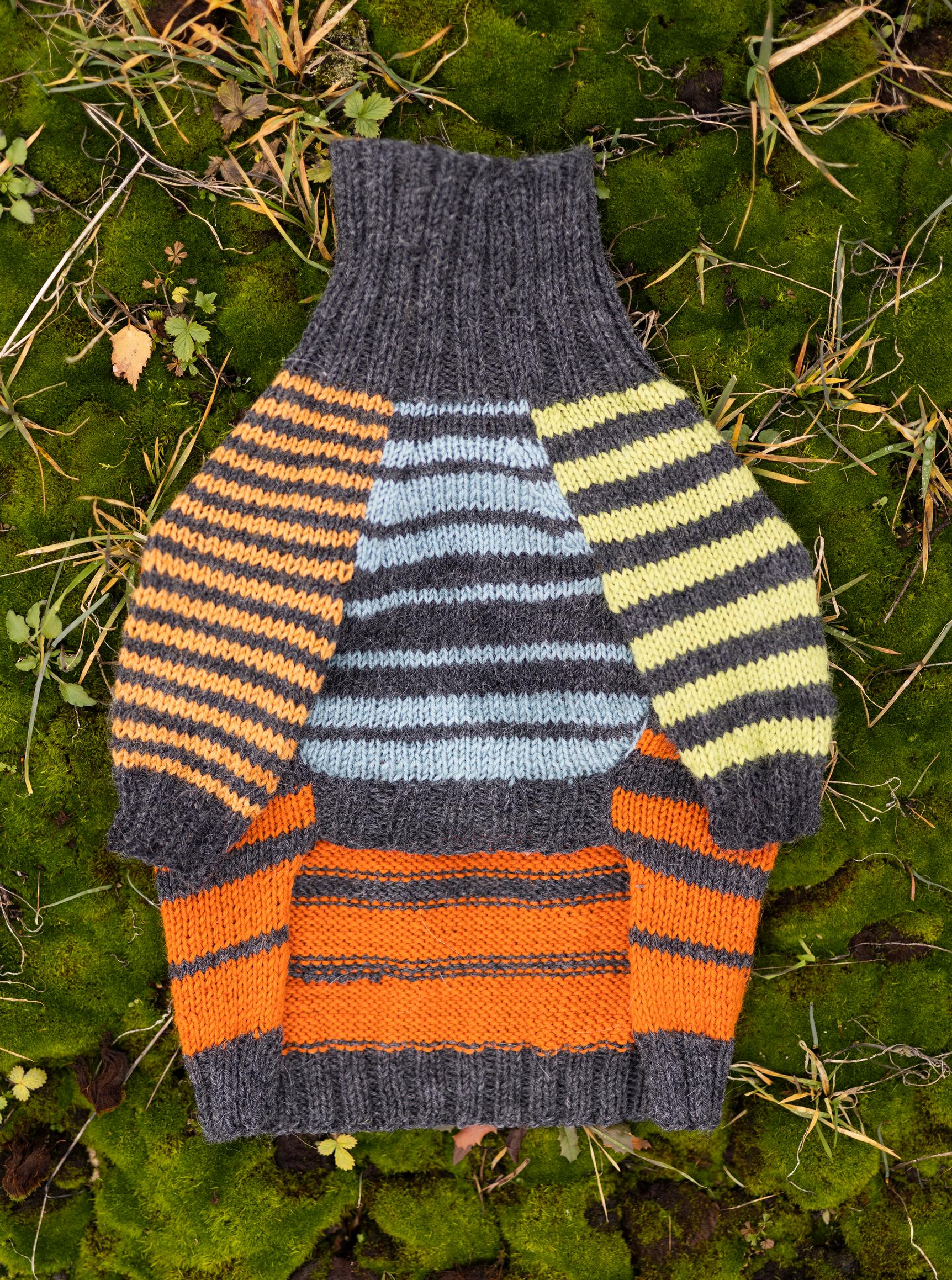 Villapaita koiralle alustalla