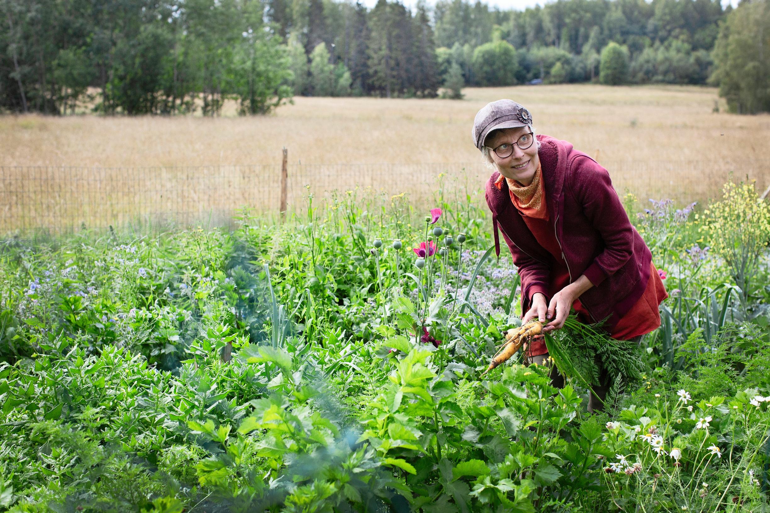 Permakulttuuri kasvimaalla