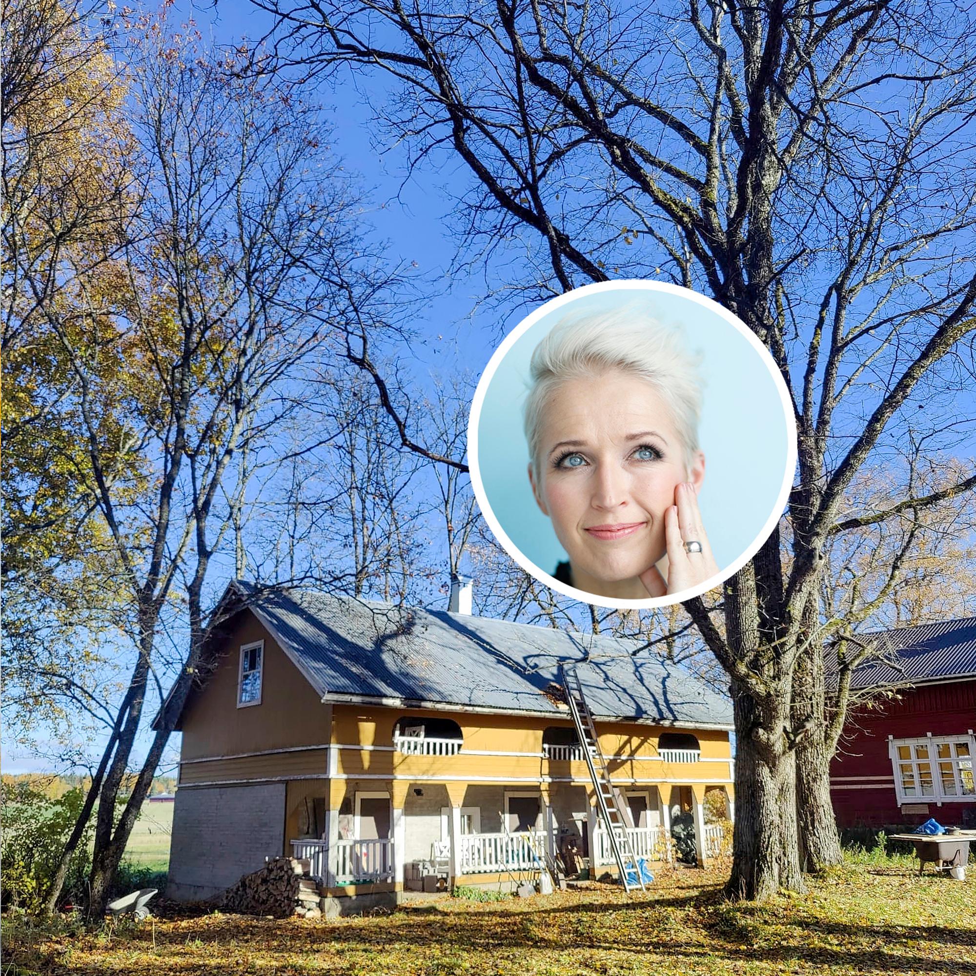 ”Botoxia pintaan, kiitos” – Anna Perhon hirsitalon ulkotyöt ovat kaikkea muuta kuin kevyt diy-projekti